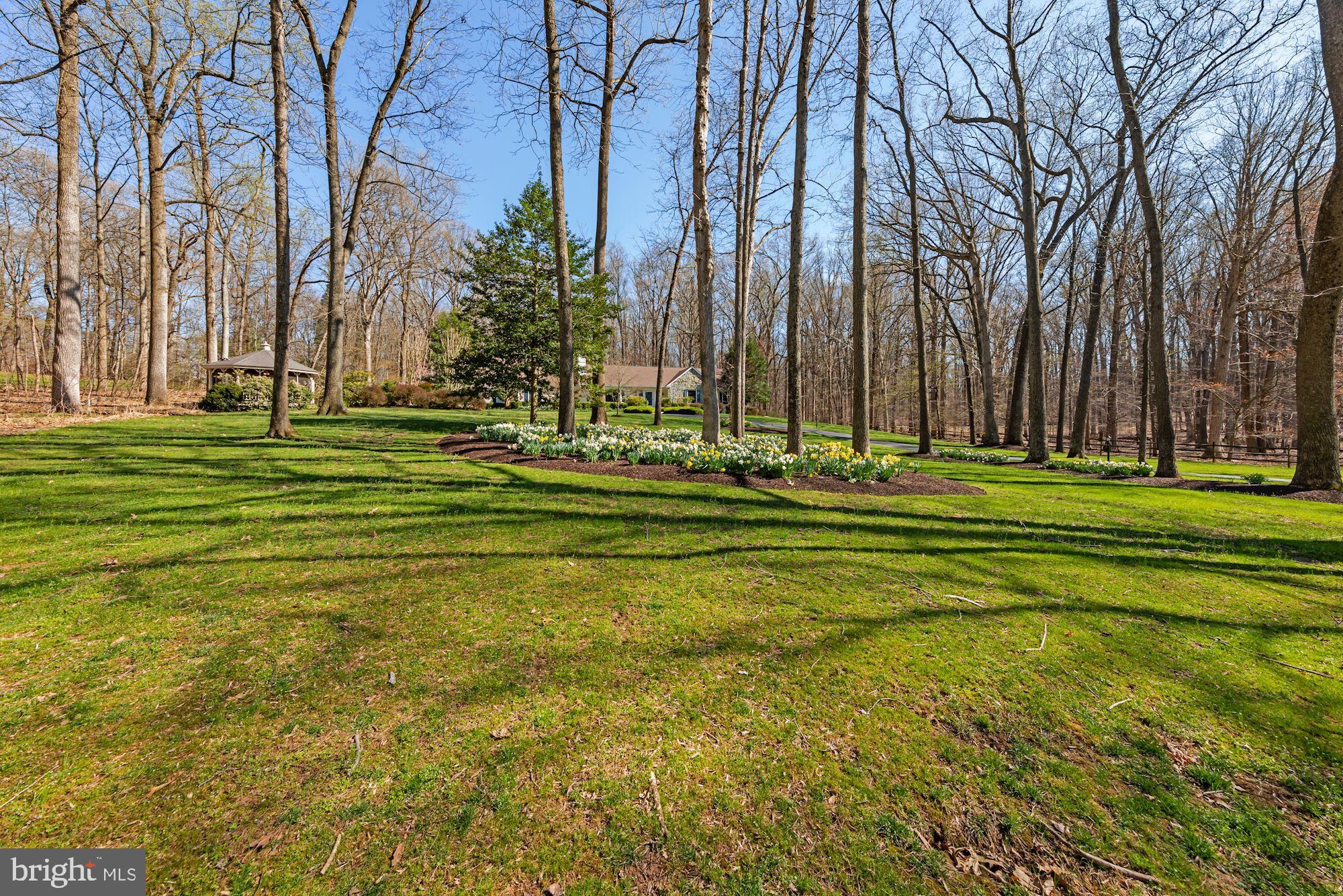 POTOMAC FALLS - Residential