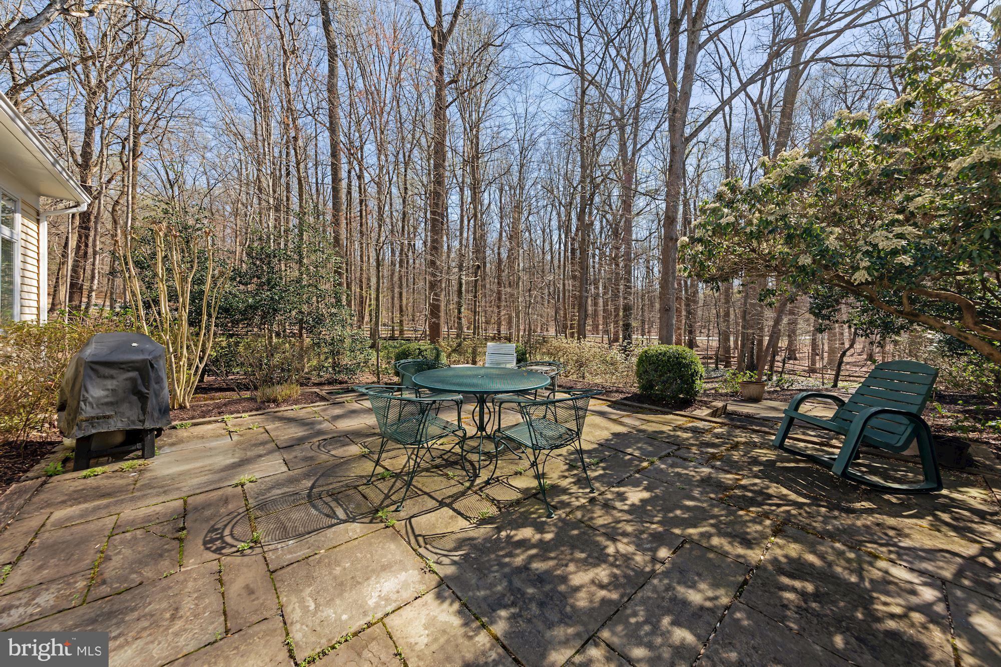 POTOMAC FALLS - Residential