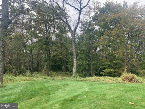 Vacant Land For Sale - Aughwick<br/> MC CONNELLSBURG, PA 17233