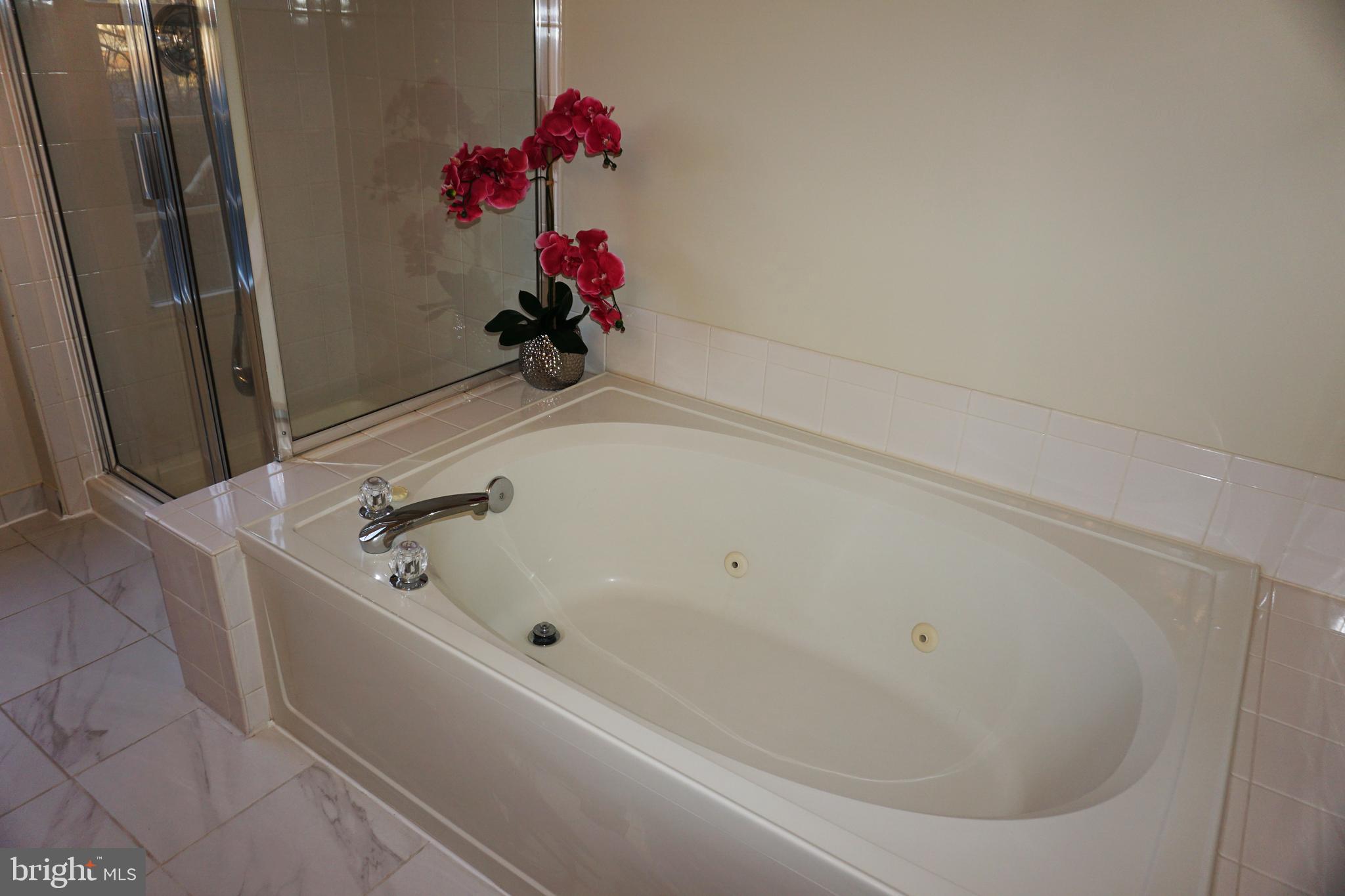 VIRGINIA CENTER - Residential