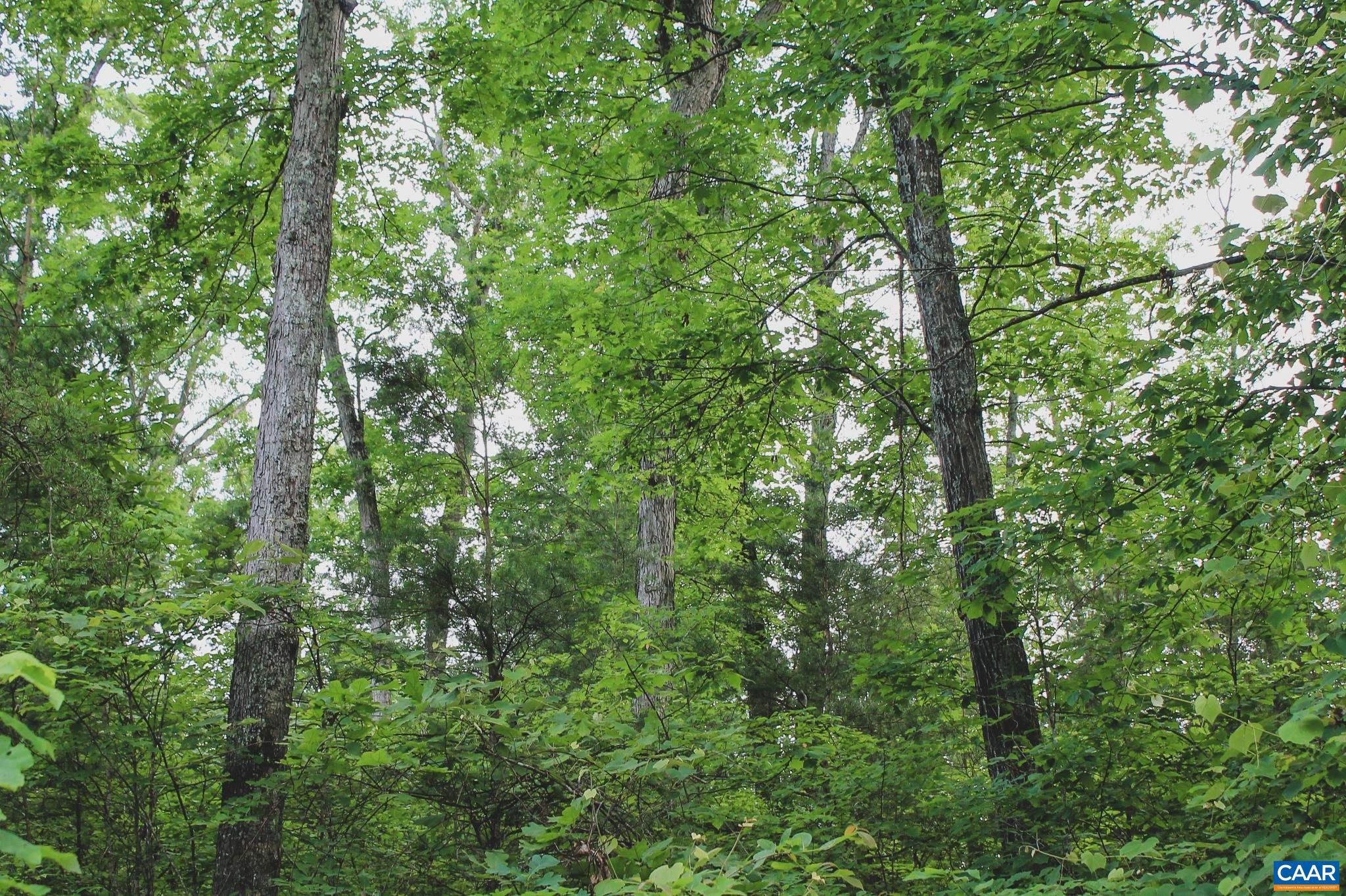 FARMS AT TURKEY RUN - Land