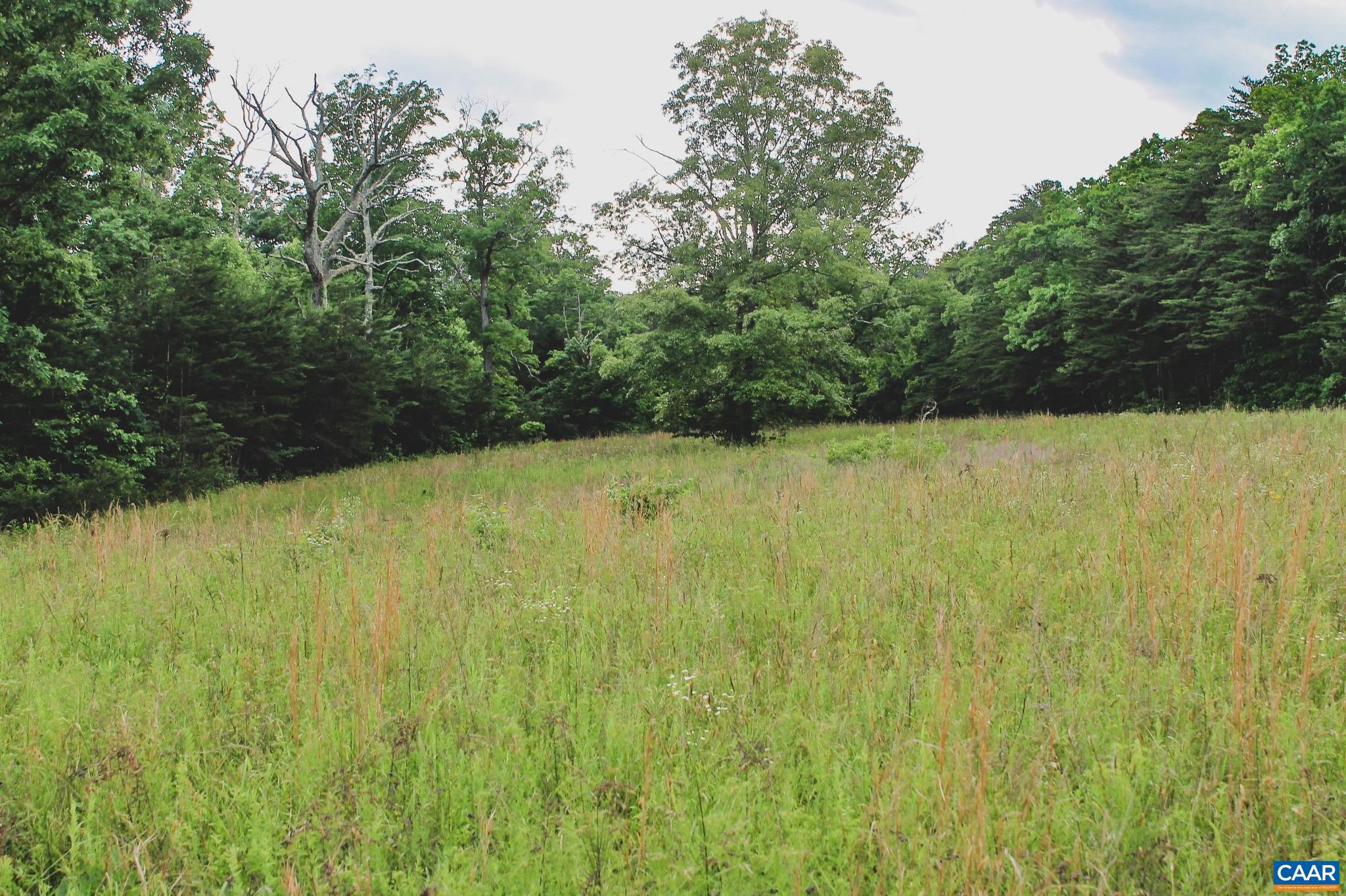 FARMS AT TURKEY RUN - Land
