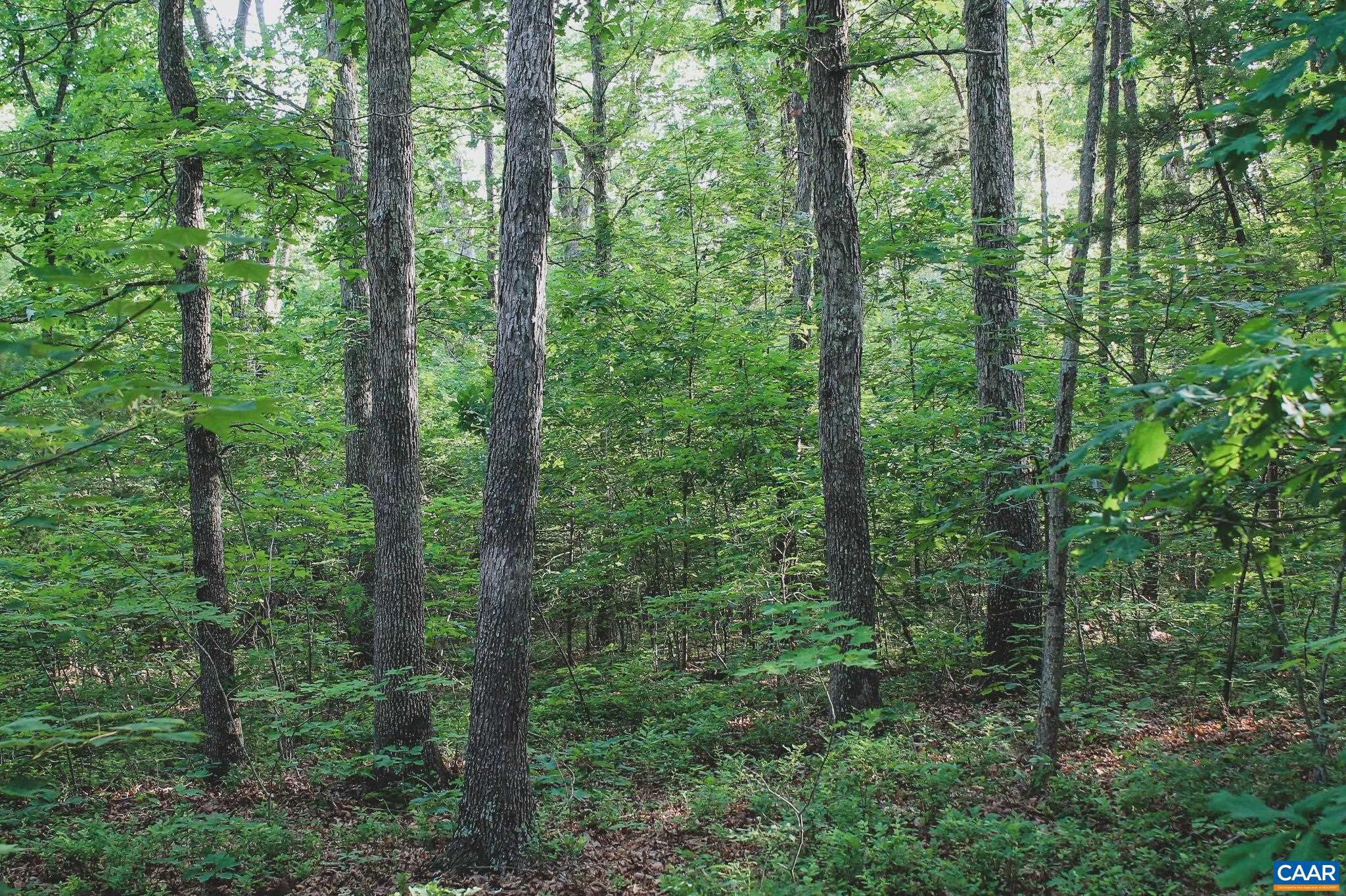 FARMS AT TURKEY RUN - Land