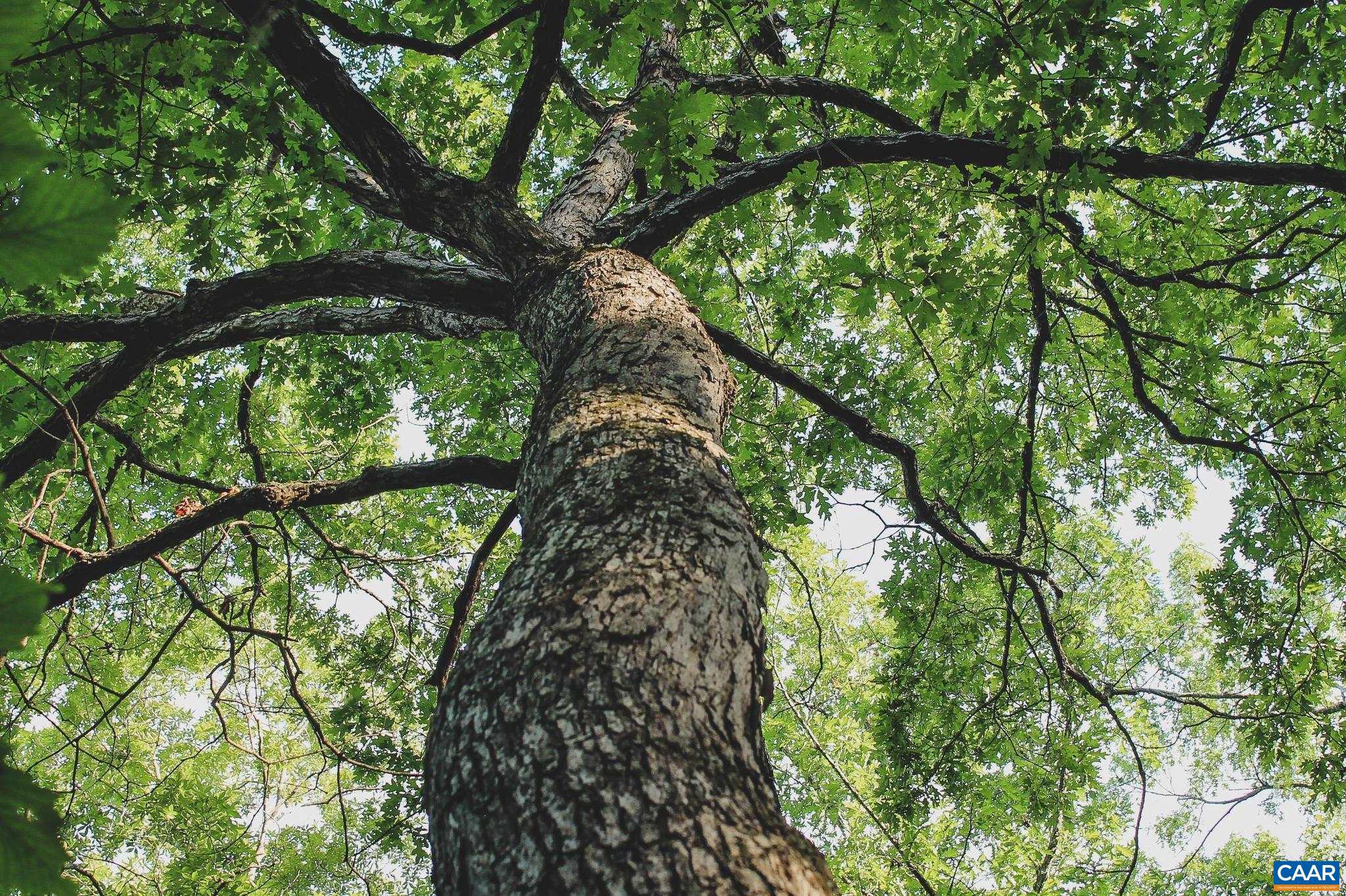 FARMS AT TURKEY RUN - Land