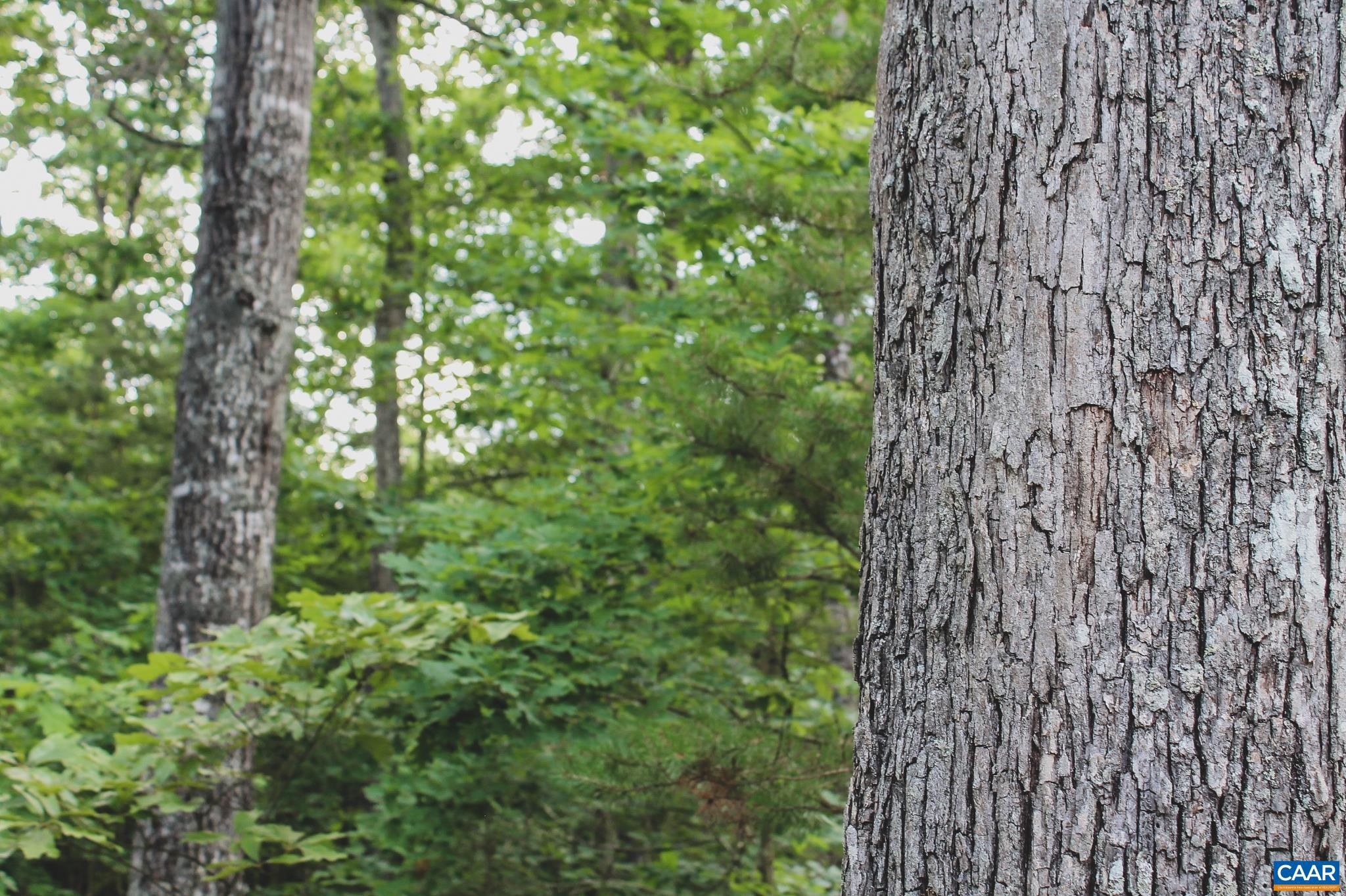 FARMS AT TURKEY RUN - Land
