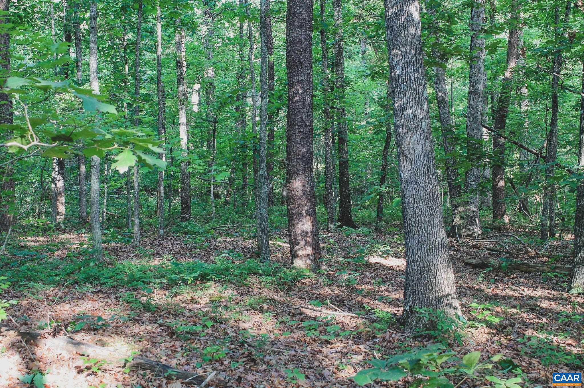 FARMS AT TURKEY RUN - Land
