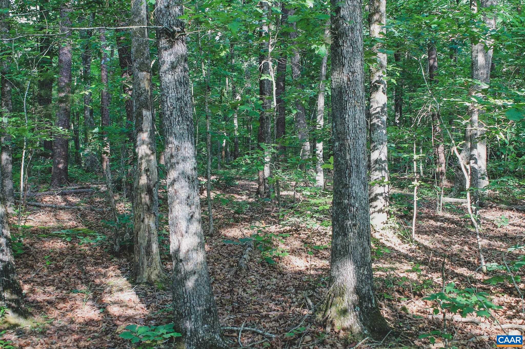FARMS AT TURKEY RUN - Land