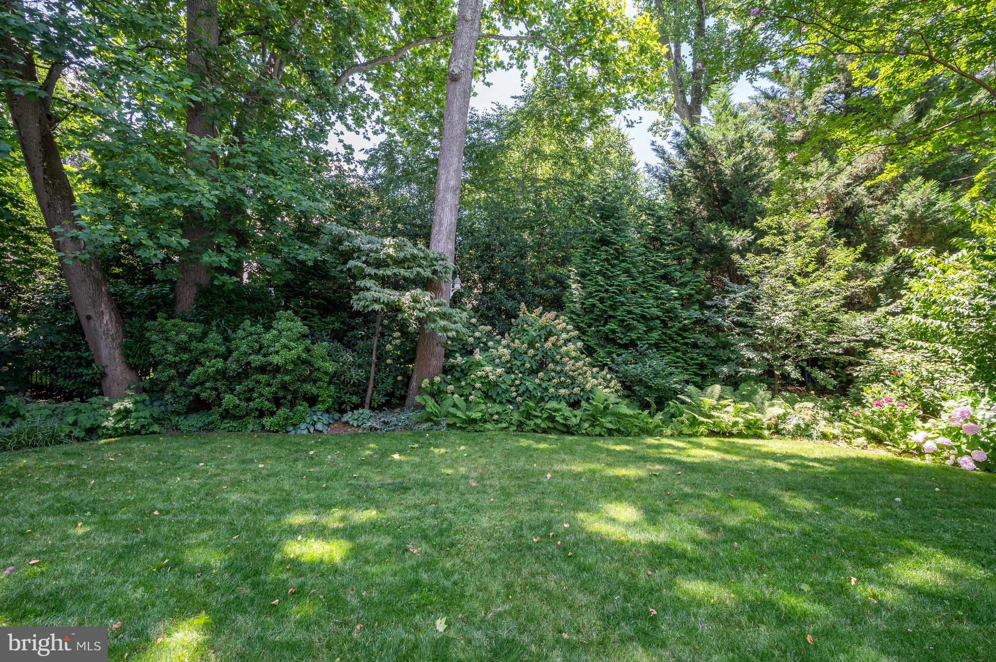 SPRING VALLEY - Residential