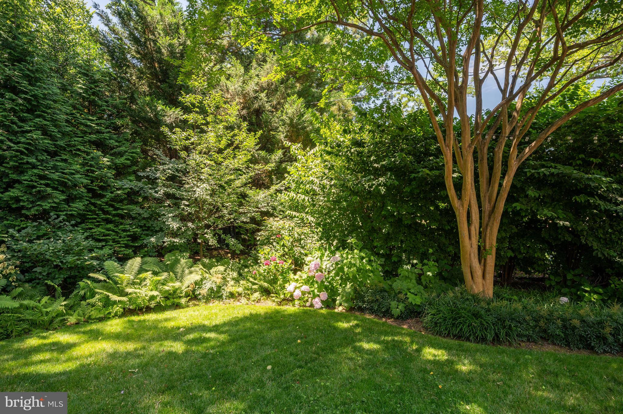 SPRING VALLEY - Residential