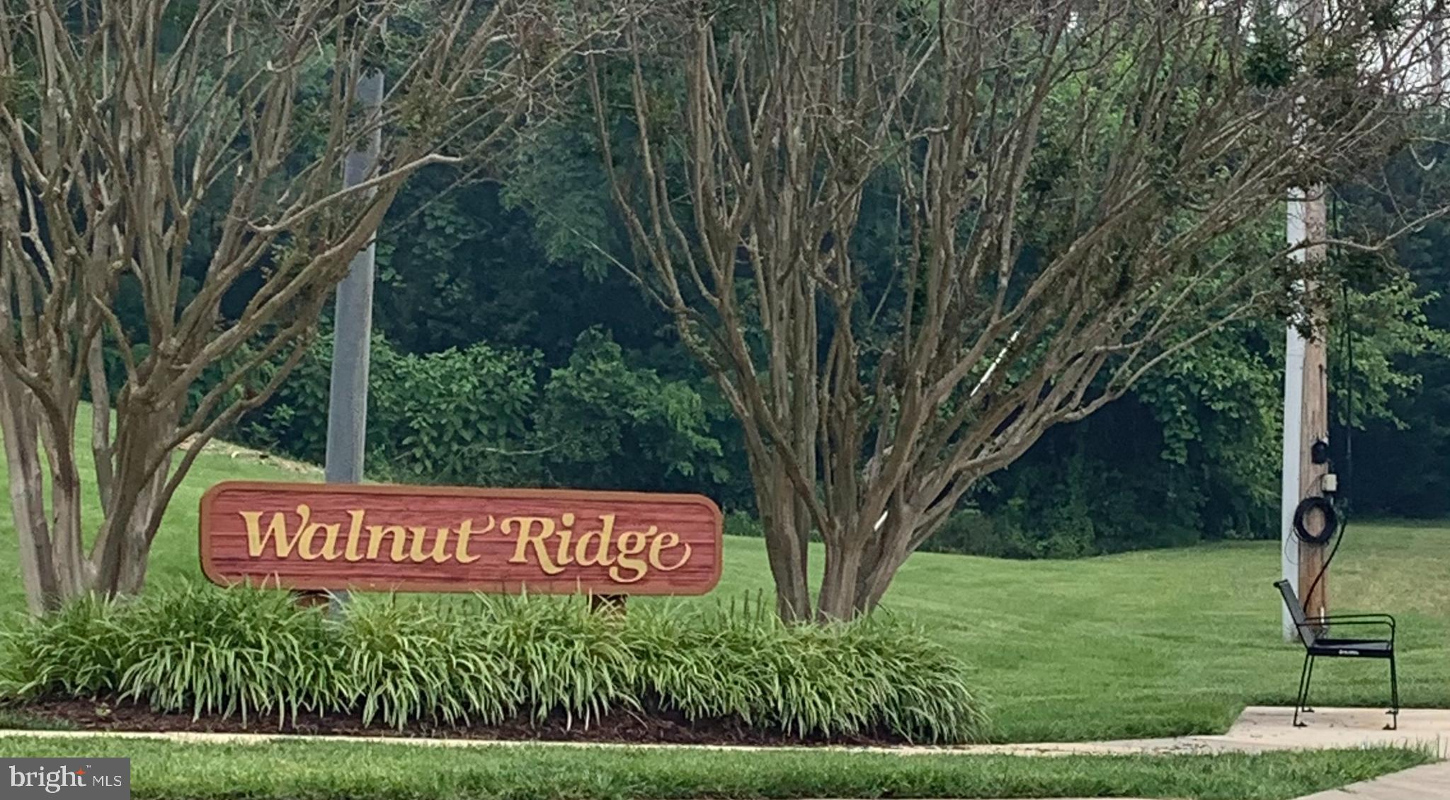 WALNUT RIDGE - Residential