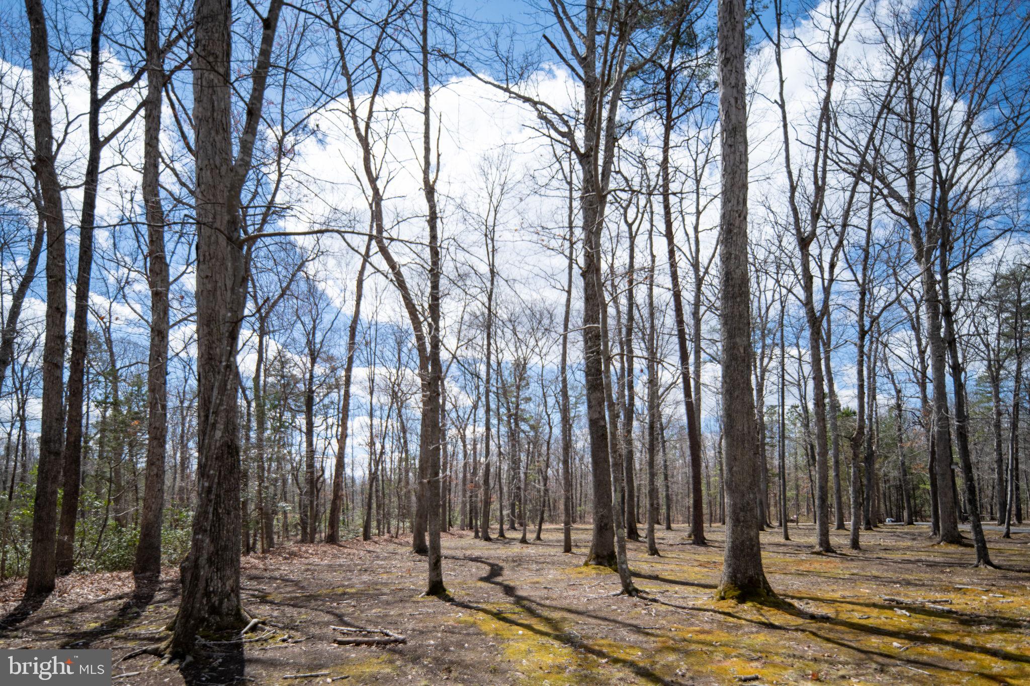 BALDWIN ESTATES - Residential