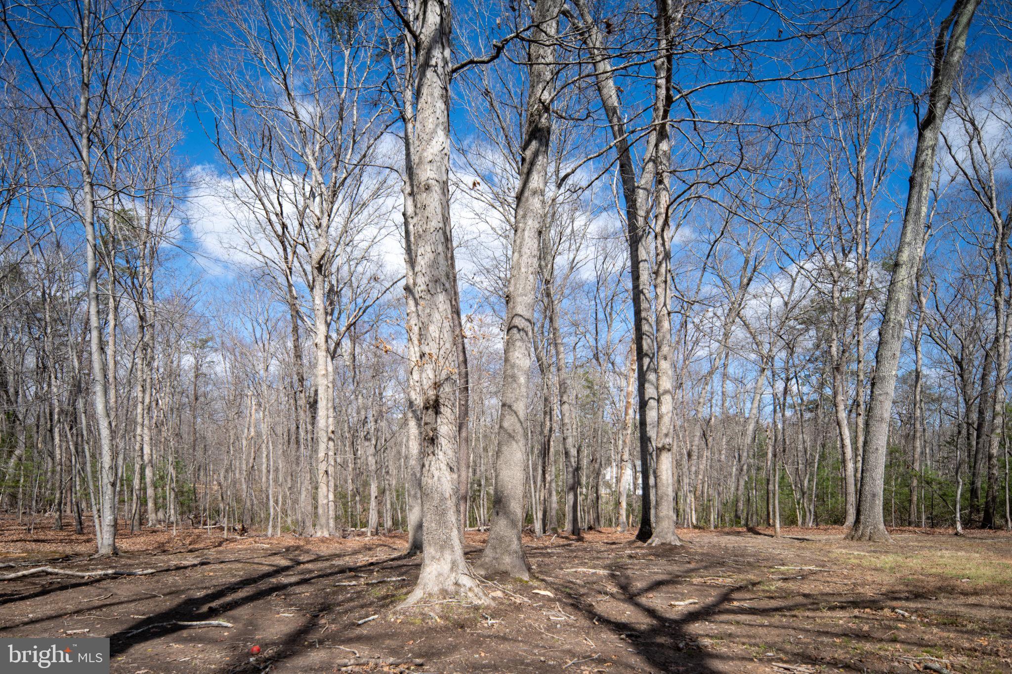 BALDWIN ESTATES - Residential