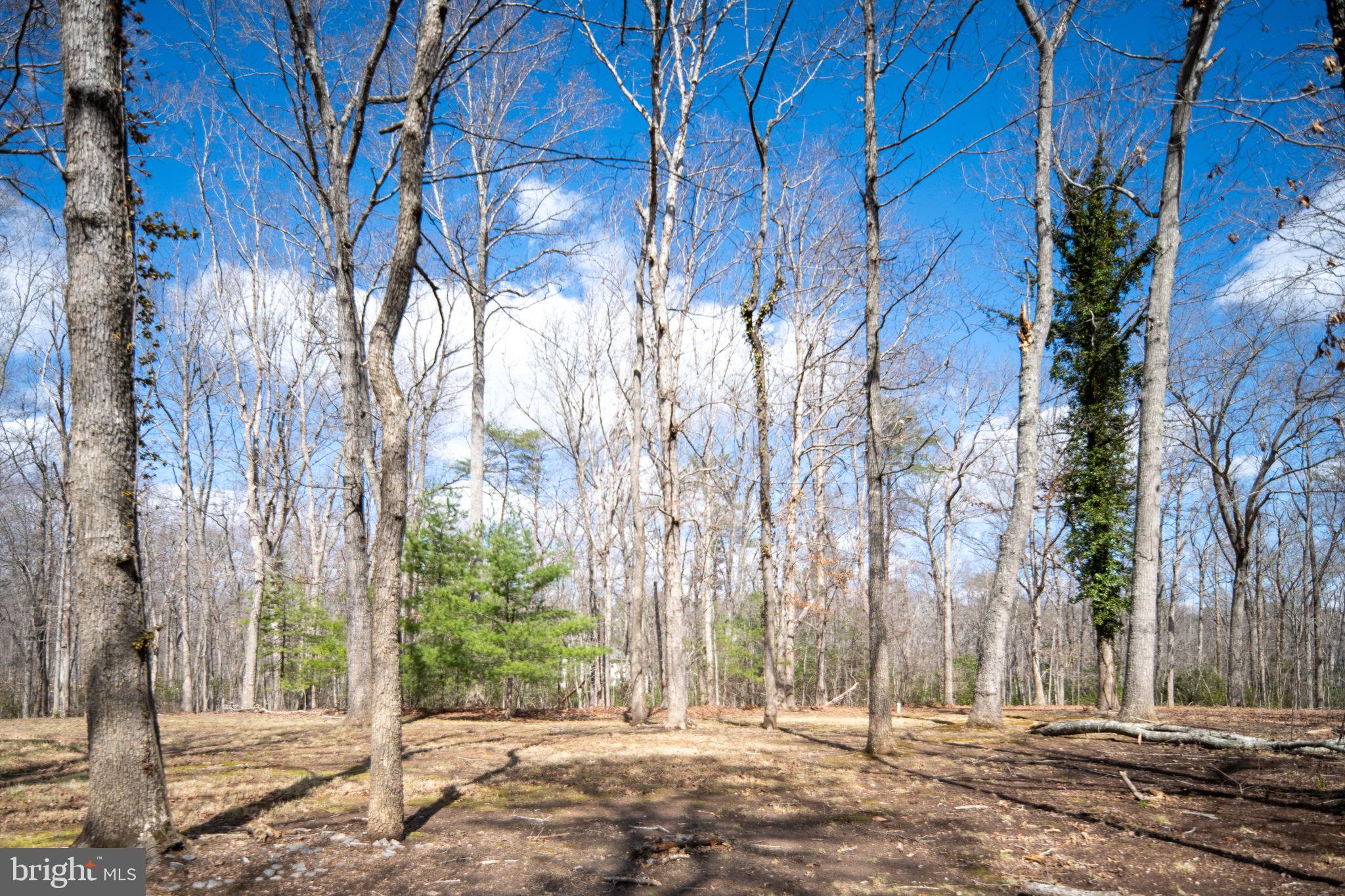 BALDWIN ESTATES - Residential