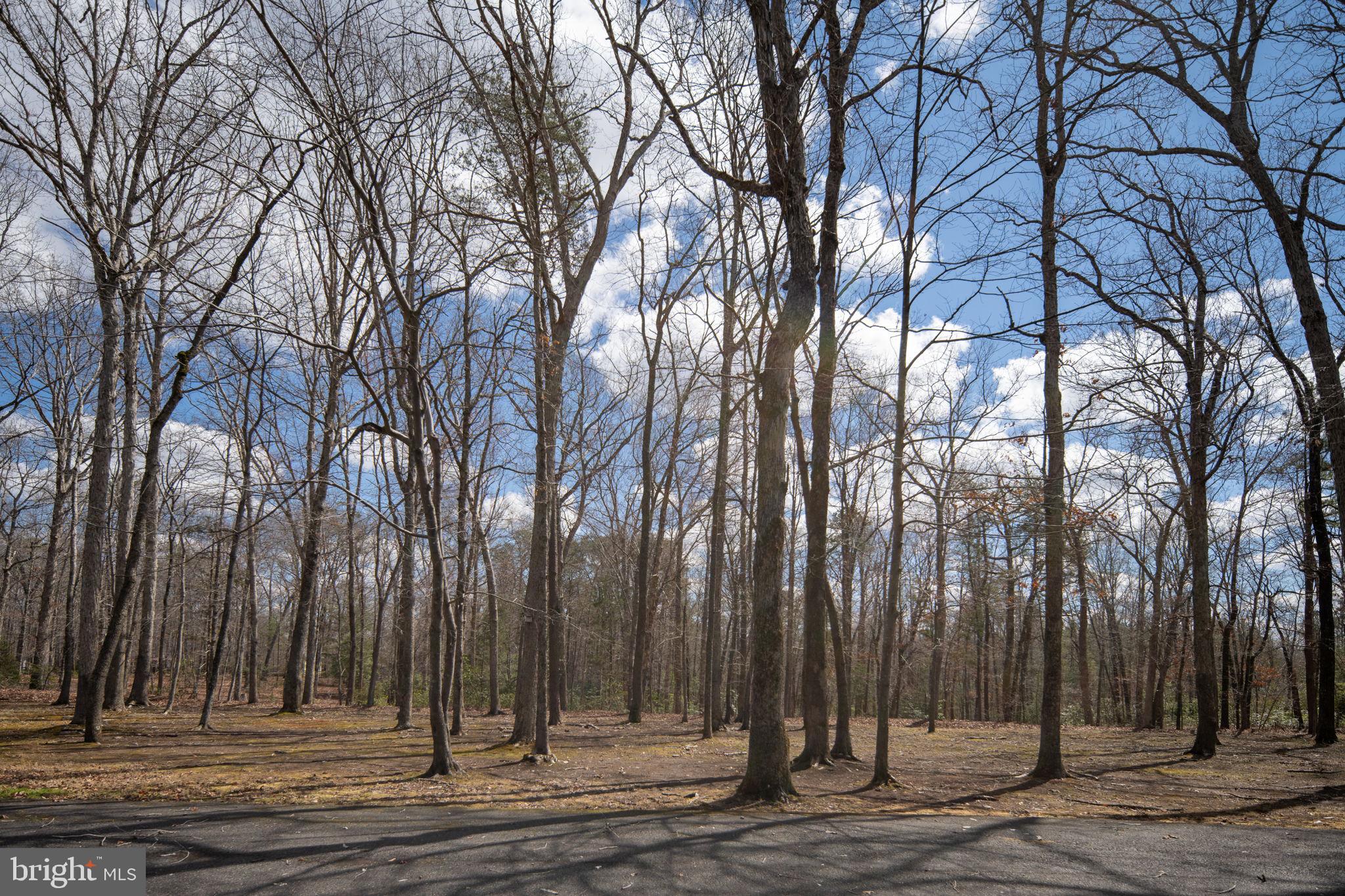 BALDWIN ESTATES - Residential