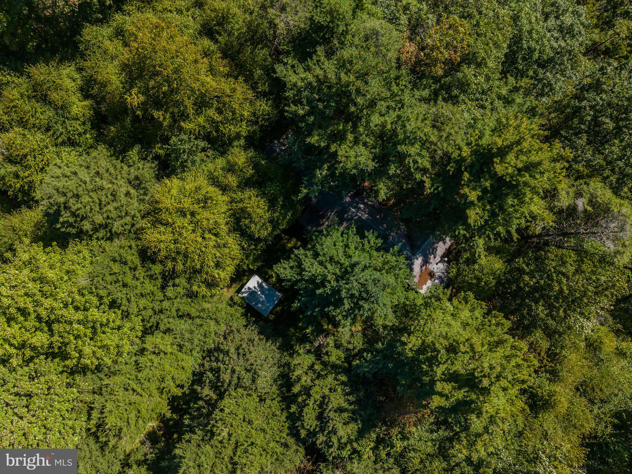 371 COPELAND SPRING TRL PARCEL 1