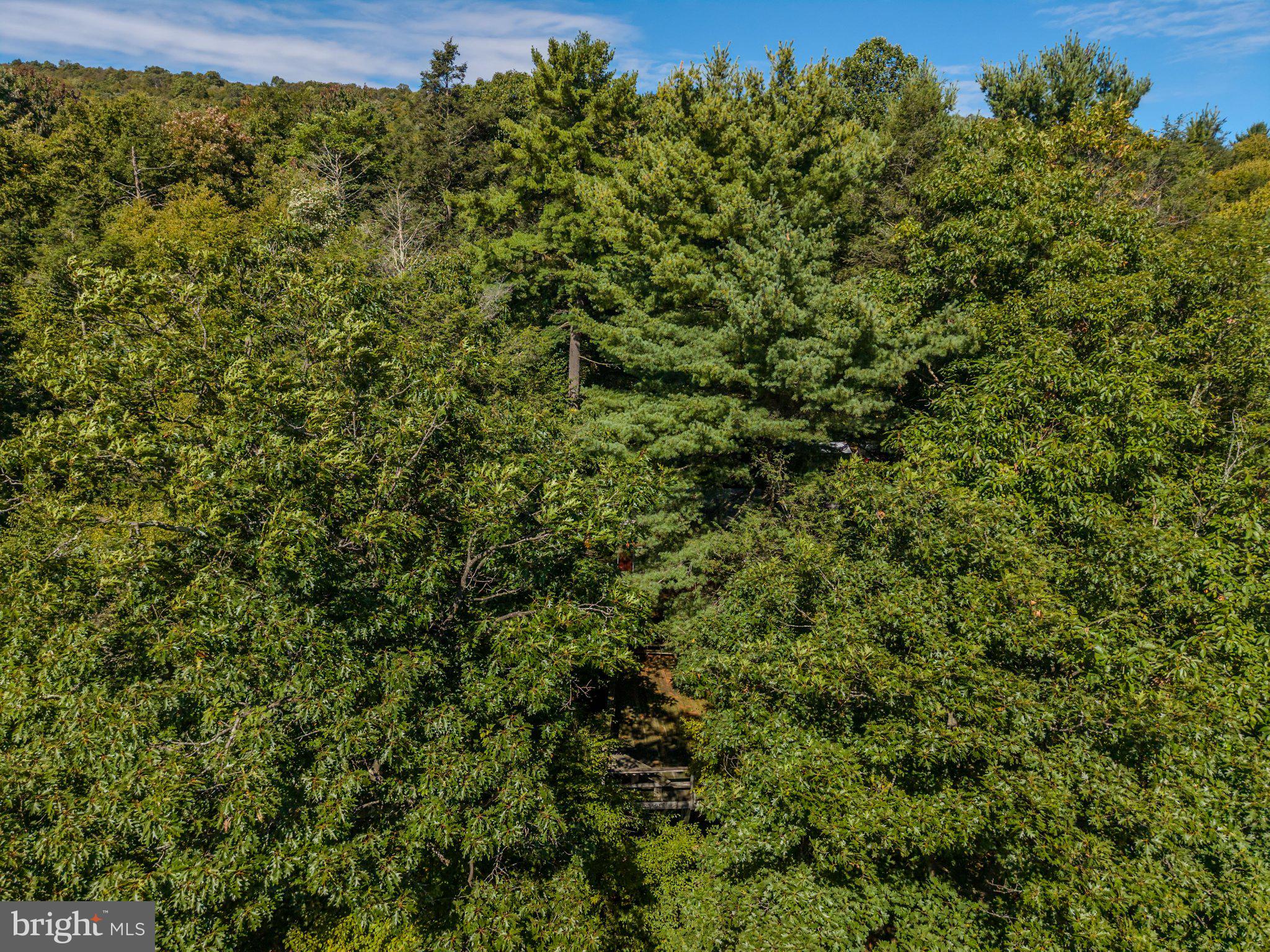 371 COPELAND SPRING TRL PARCEL 1