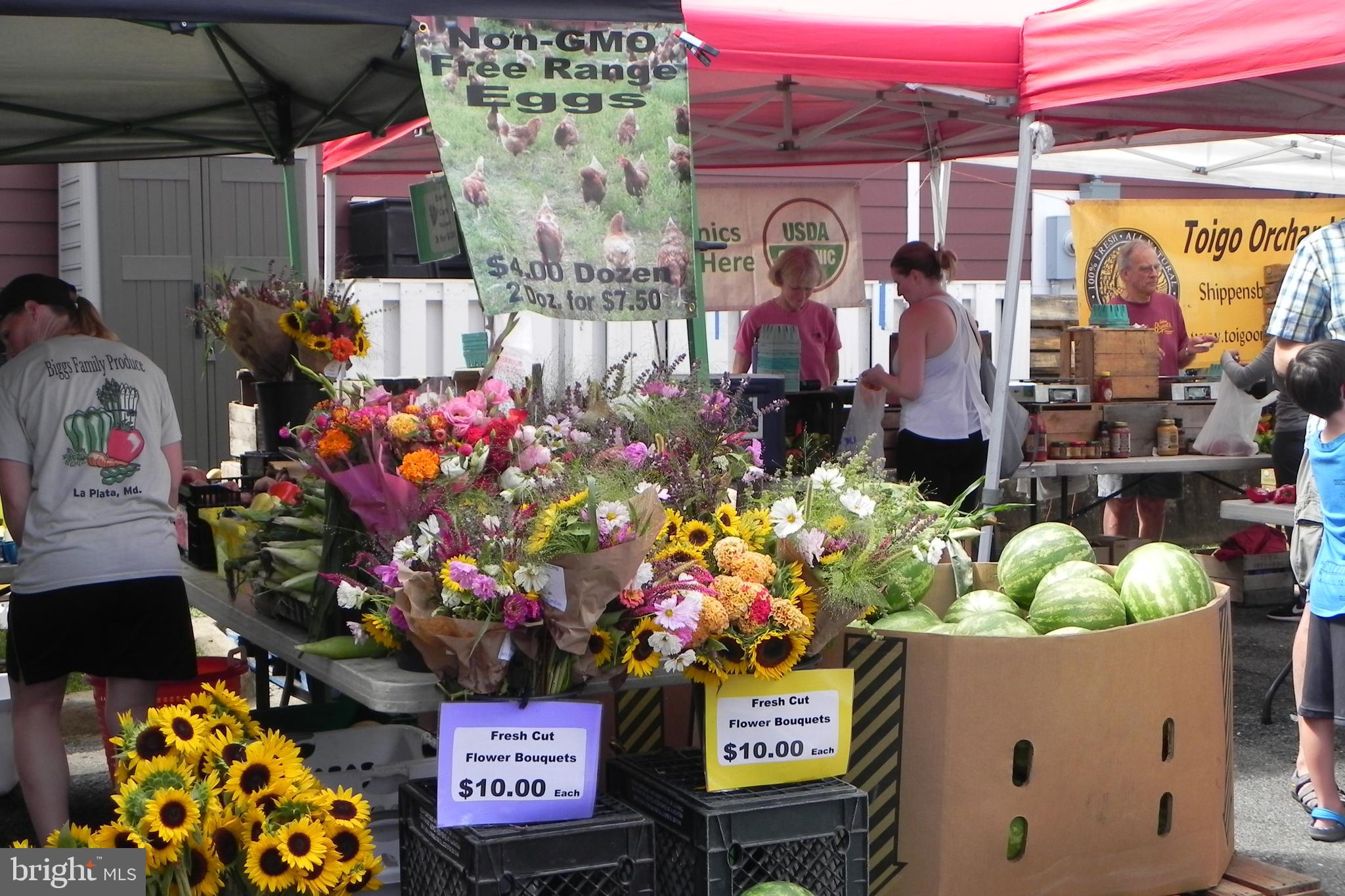 ROSECREST - Residential