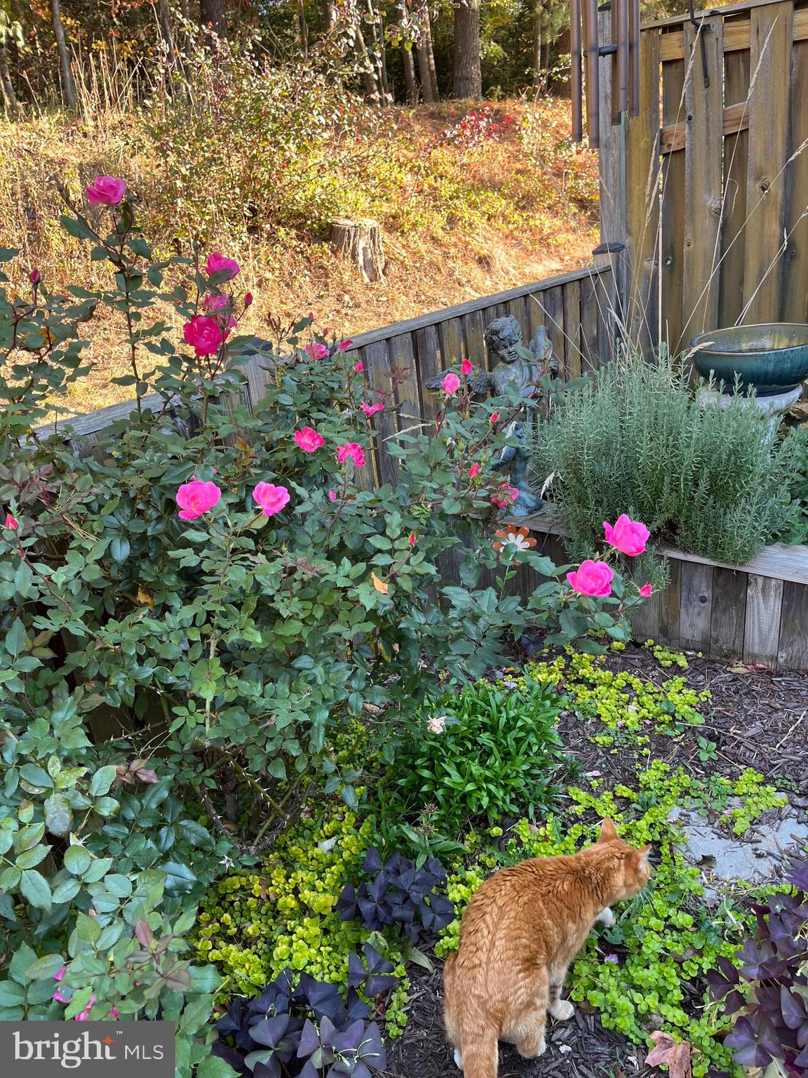 HERITAGE HARBOUR - Residential