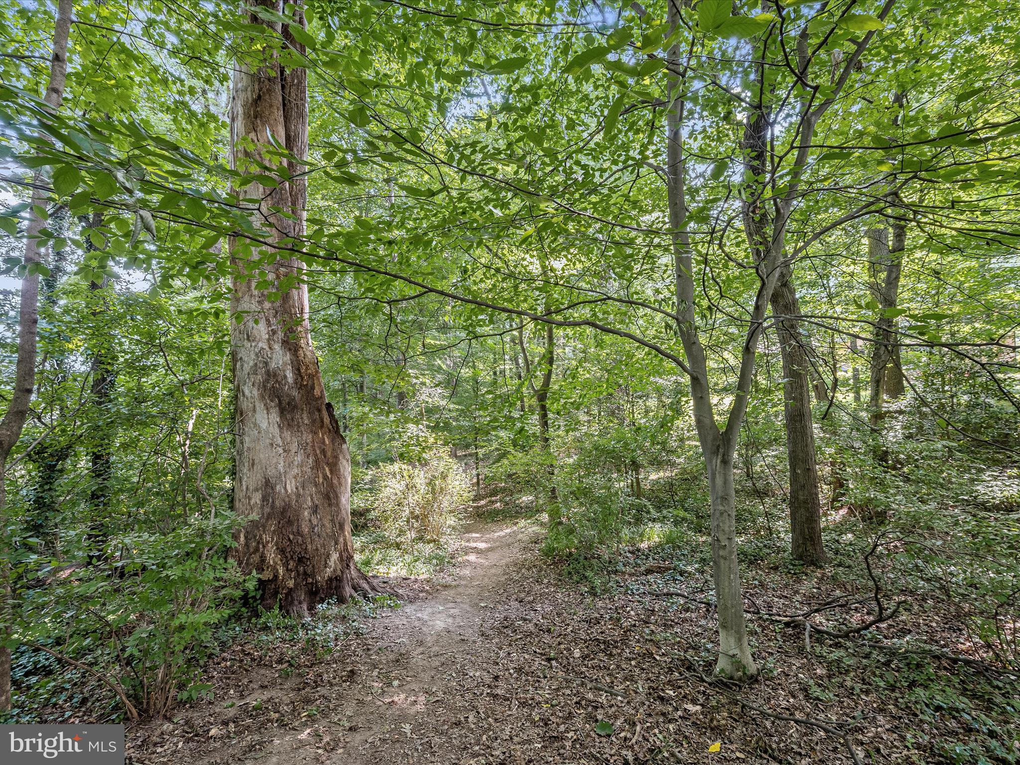 OAKWOOD KNOLLS - Residential