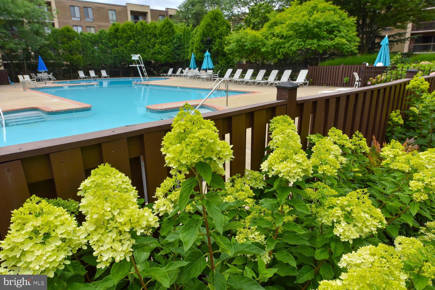 THE PLAZA - Residential