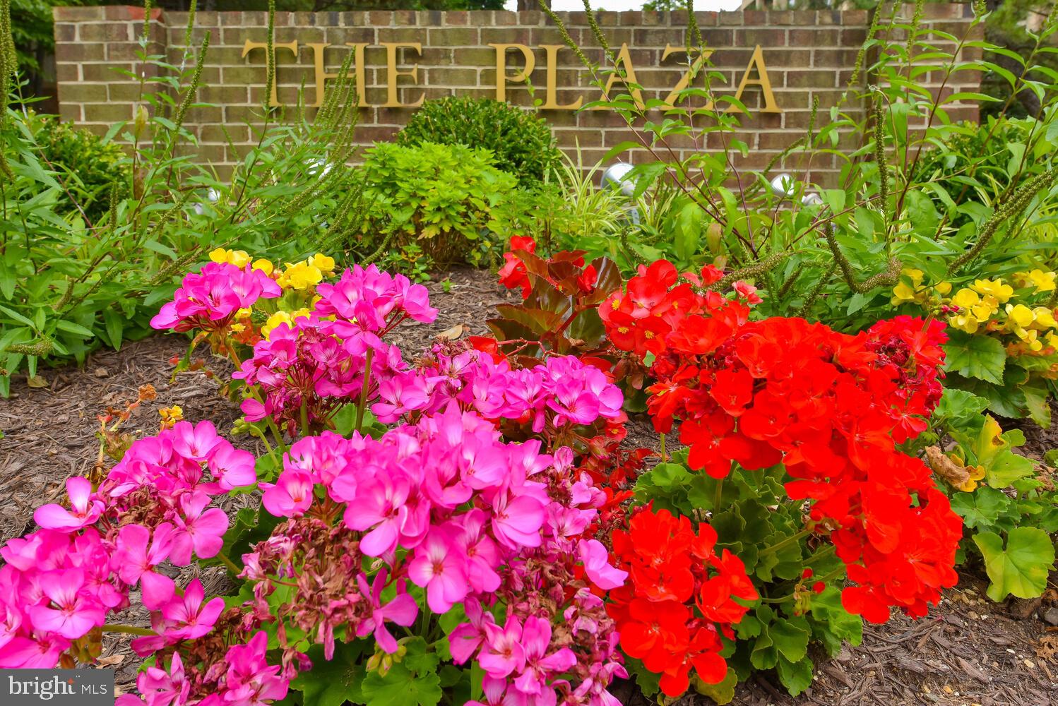 THE PLAZA - Residential