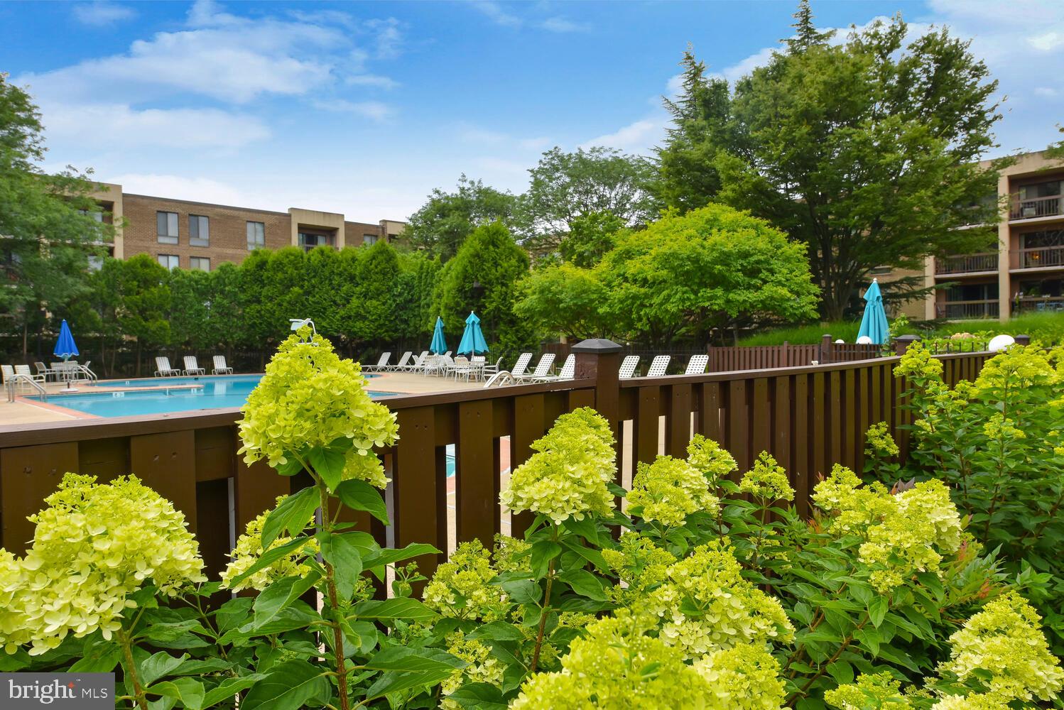 THE PLAZA - Residential