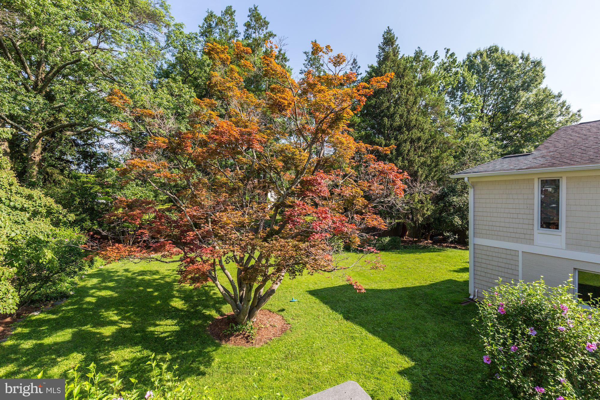 BRADLEY HILLS - Residential