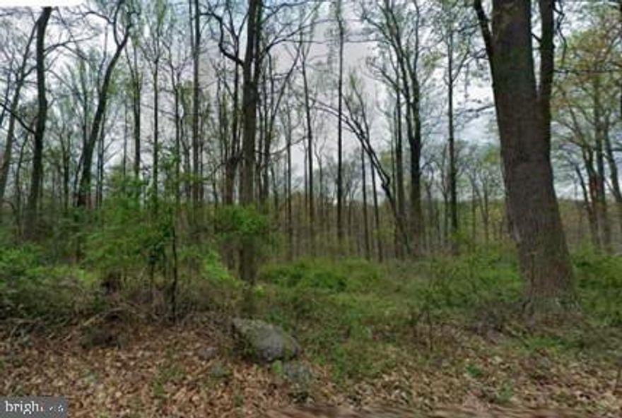 Build your dream home on this 2.5-acre wooded parcel in the  Twin Valley School District! Nestled along desirable Cocalico Road, this picturesque property offers the perfect blend of privacy and convenience. Mature trees provide a serene natural setting and plenty of shade, while the spacious lot gives you endless design possibilities for your future home, outdoor living areas, or even a detached garage or workshop. Enjoy the peace of country living with easy access to major routes, local shopping, and dining. Bring your builder and your vision—this rare opportunity to create your own private retreat won’t last long!