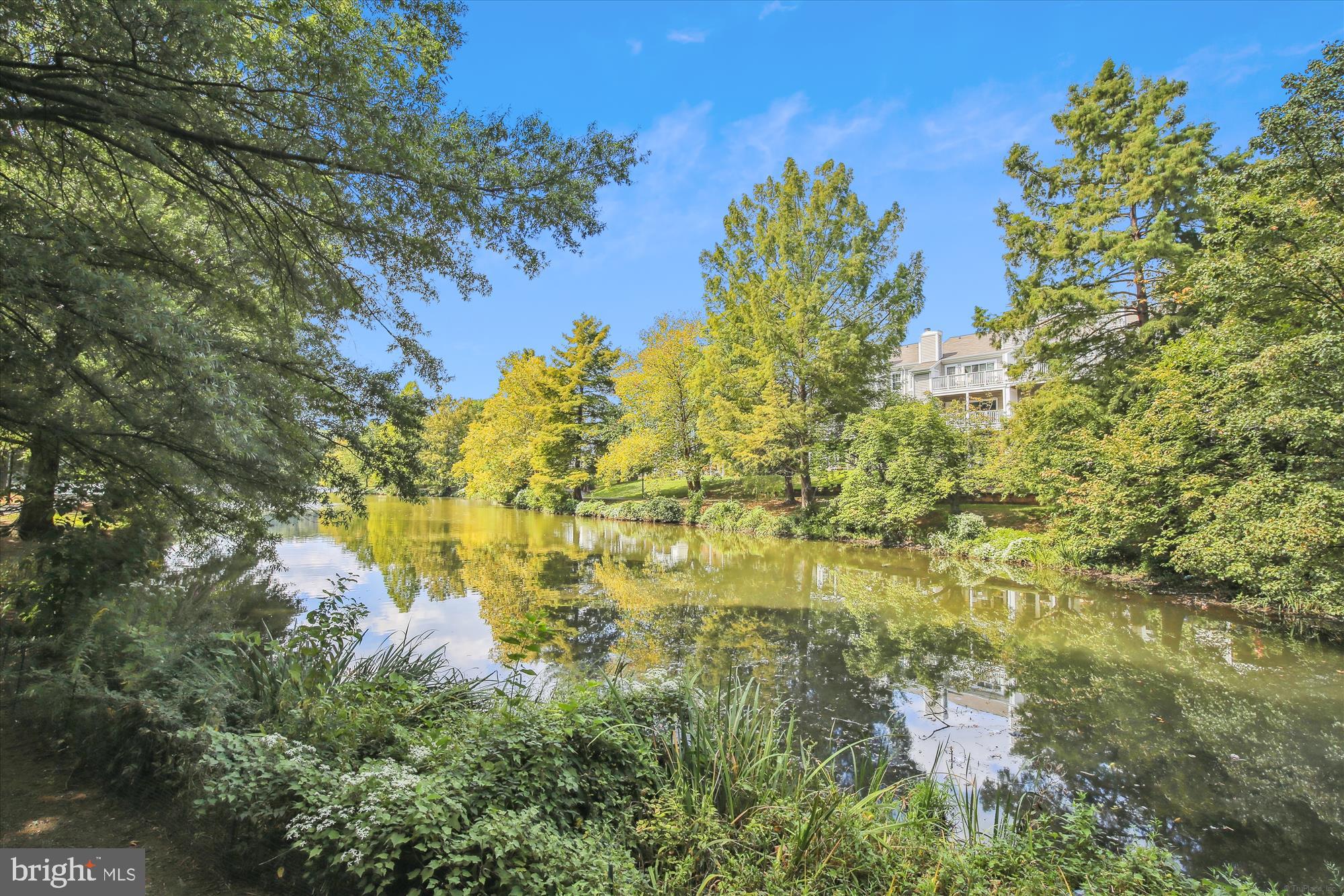 NEW PROVIDENCE VILLAGE - Residential Lease