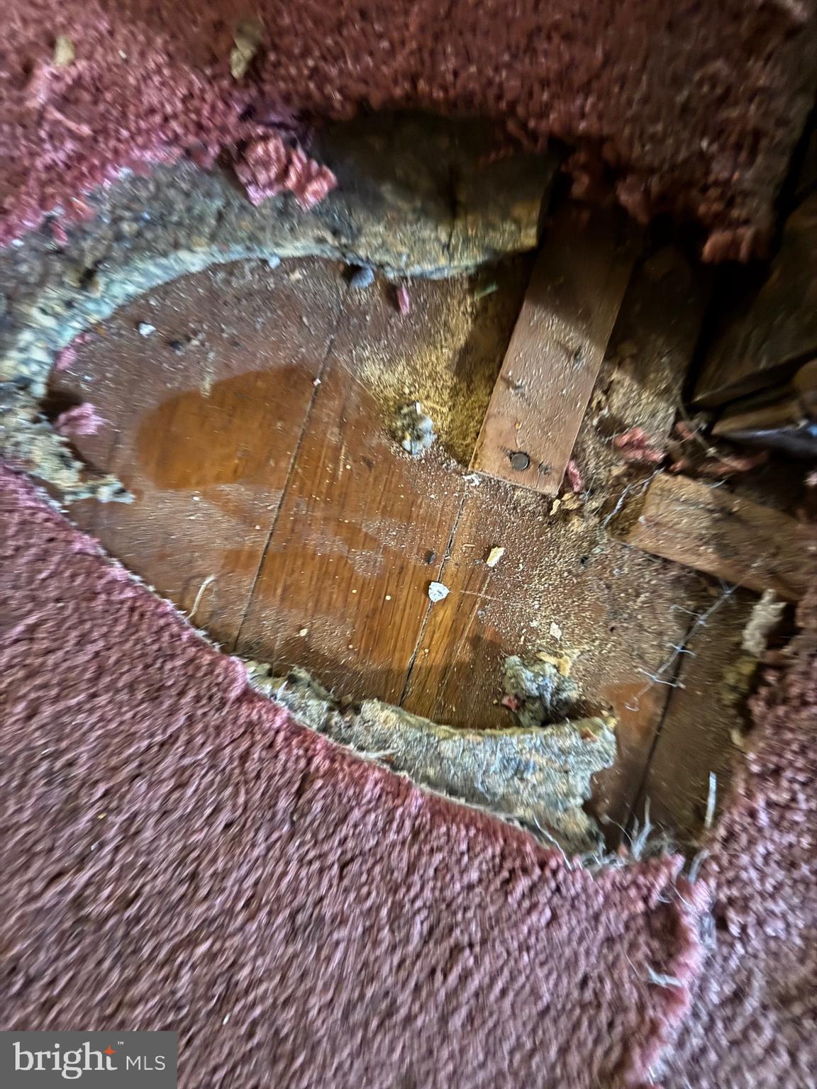 HUNTING PARK - Residential