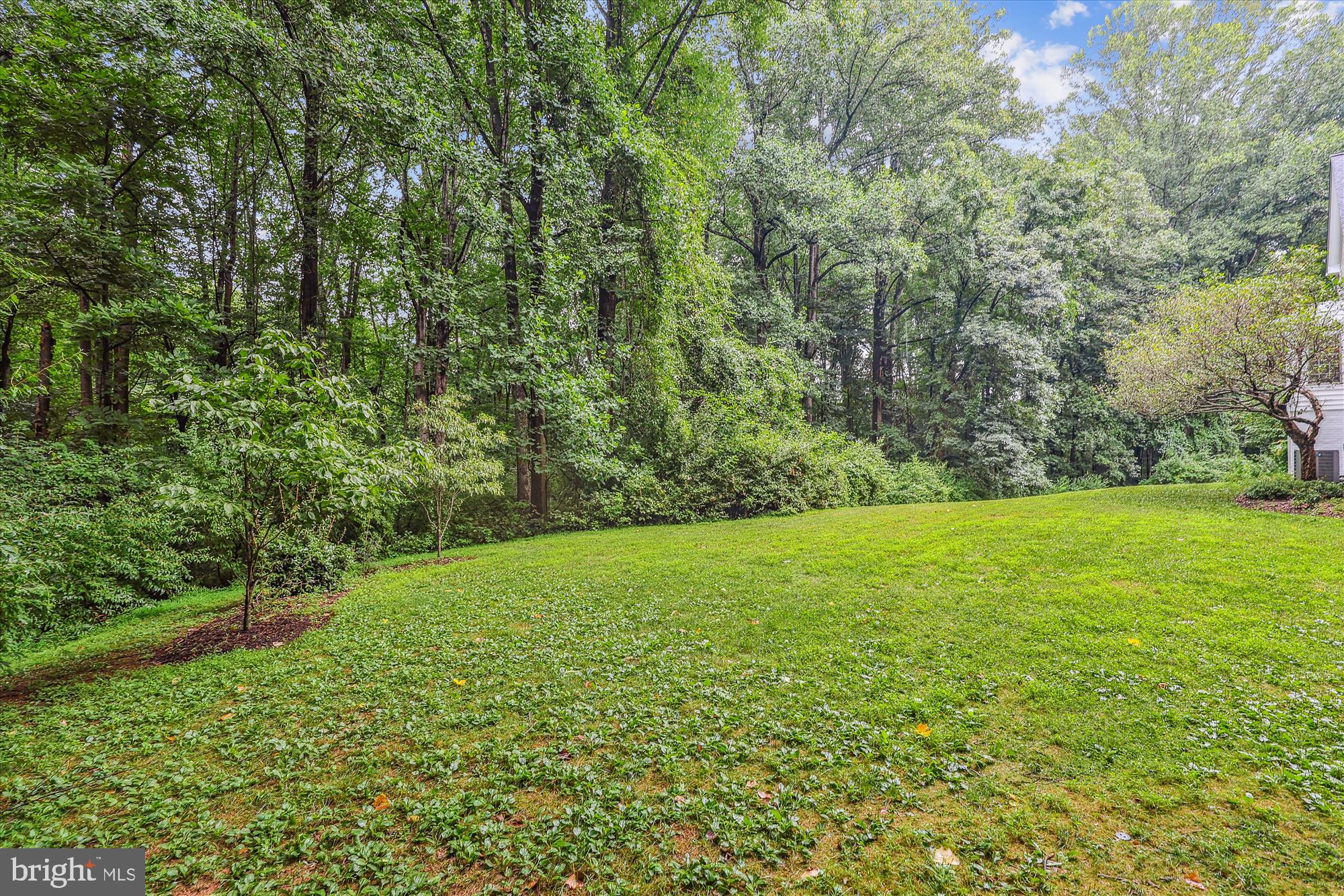 OAKTON - Residential