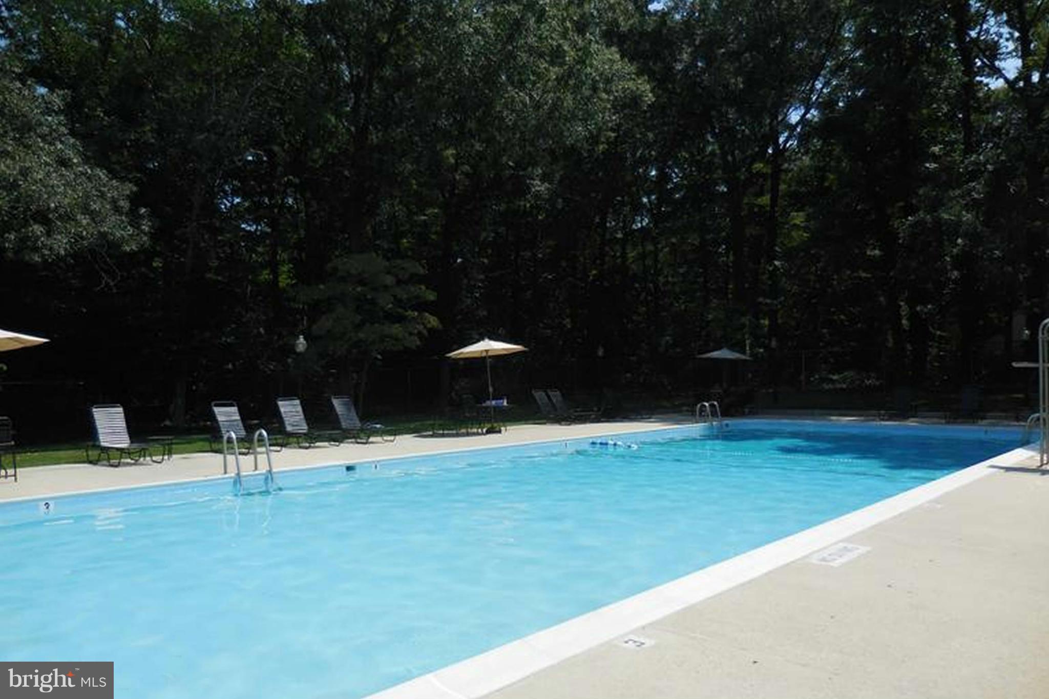 THE LANDING AT SPA CREEK - Residential