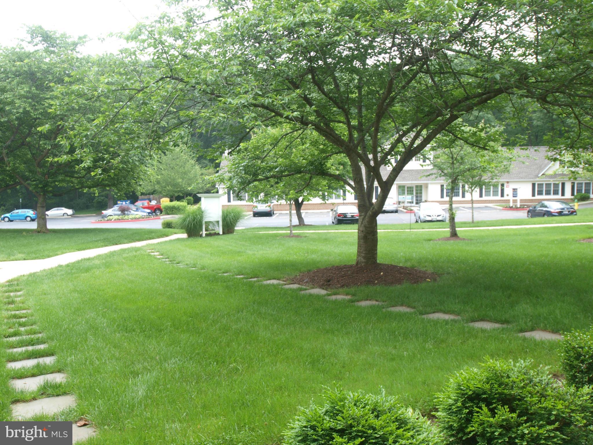 THE LANDING AT SPA CREEK - Residential