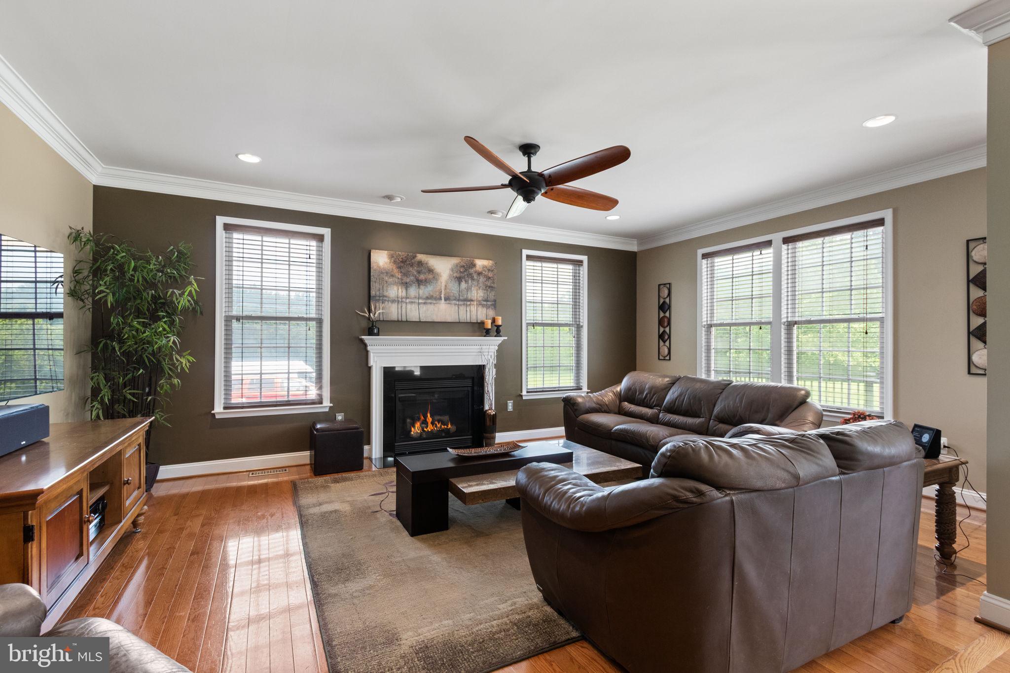 20 GIBSON DRIVE