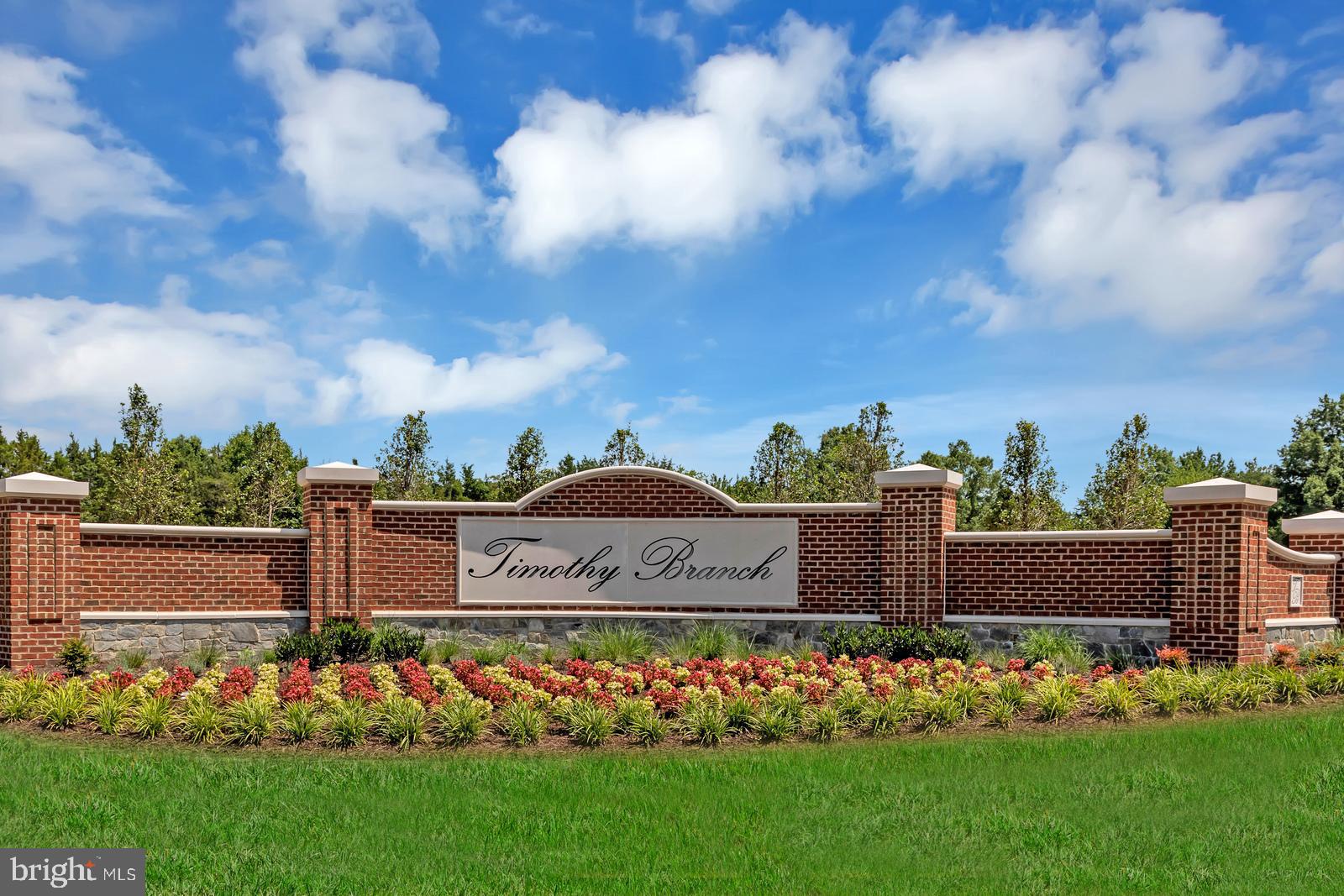 TIMOTHY BRANCH SINGLES - Residential