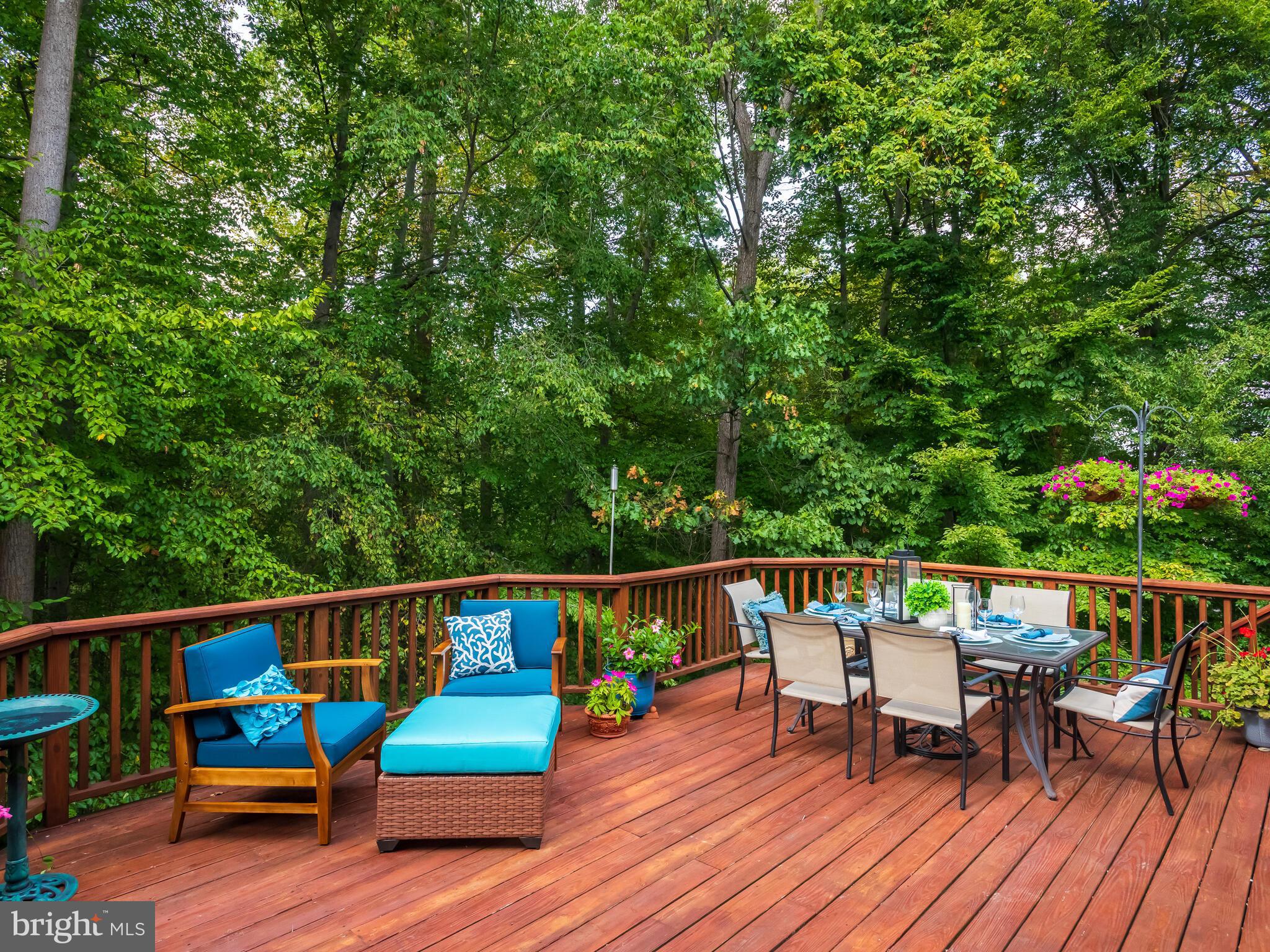 VALLEY FORGE WOODS - Residential