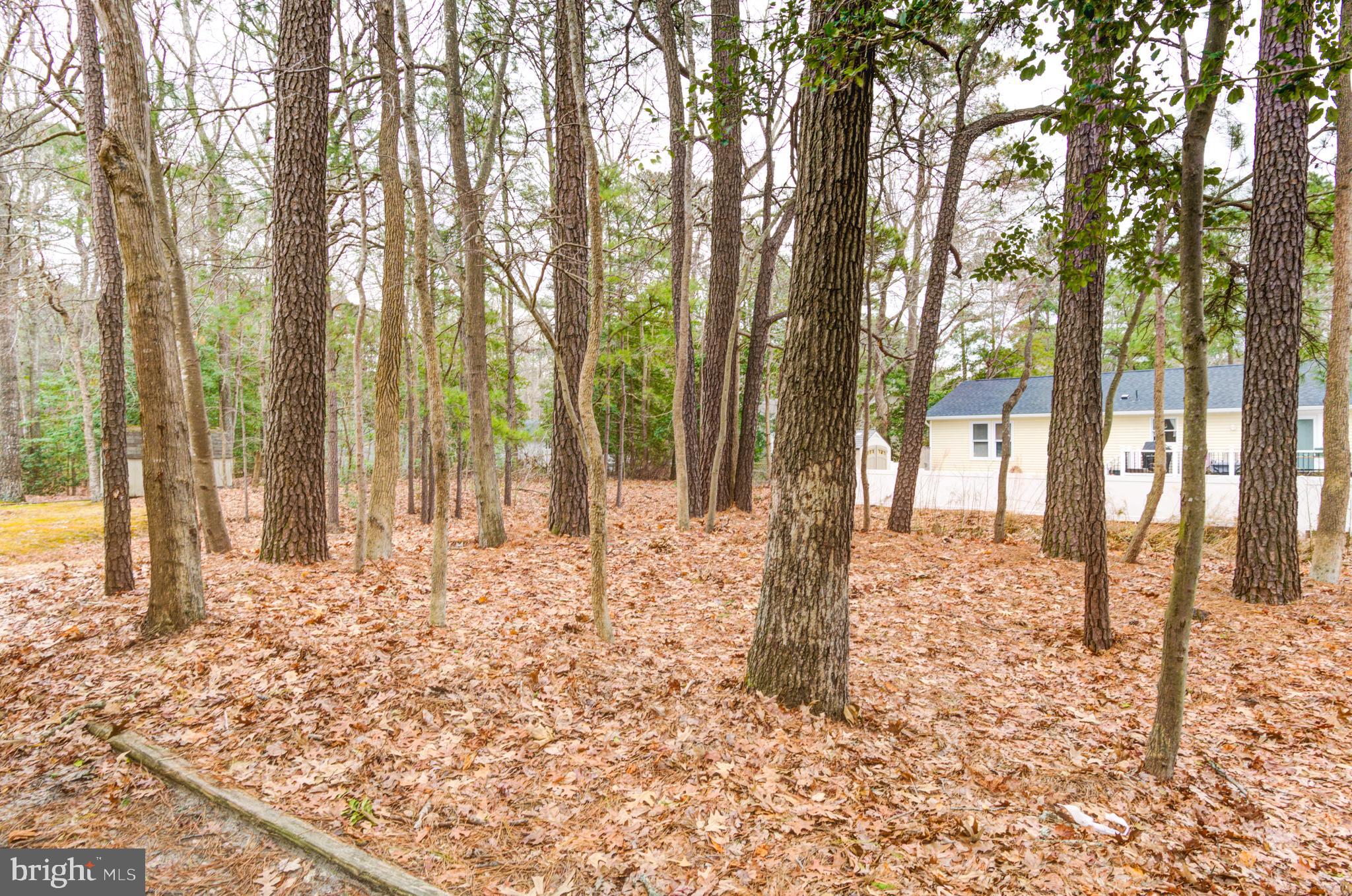 OCEAN PINES - SHERWOOD FOREST - Residential