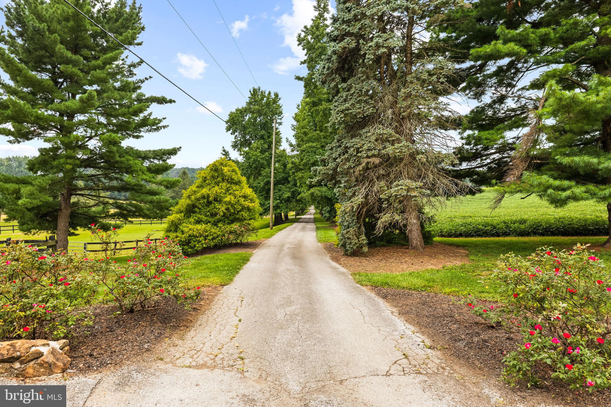 SEVEN VALLEYS - Farm