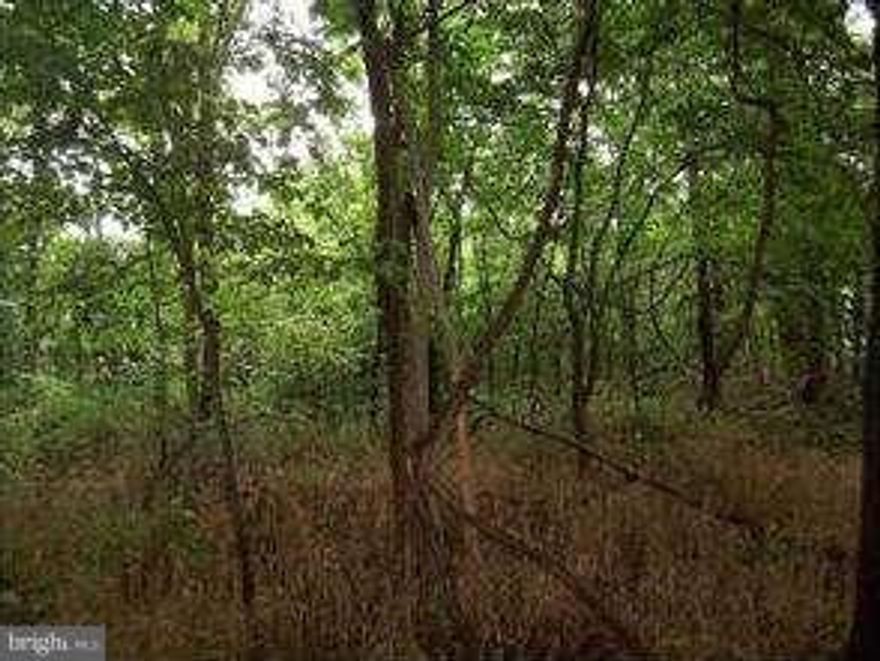 LARGE PRIVATE LOT ON OUTSKIRTS OF SHEPHERDSTOWN.  CLOSE TO EVERYTHING.