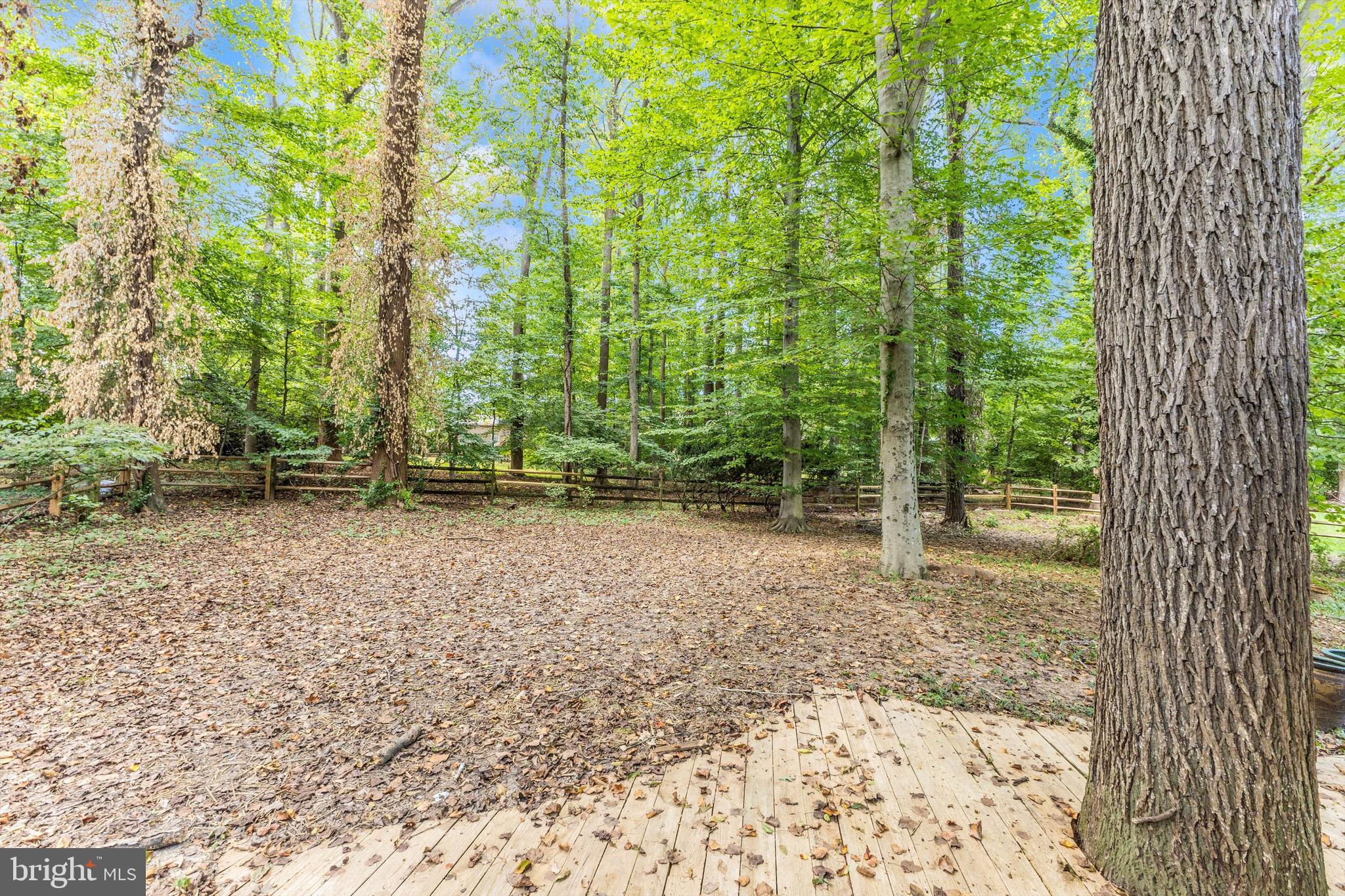 BEAVERBROOK - Residential Lease