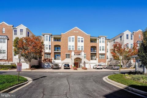 5910 GREAT STAR DRIVE 203 CLARKSVILLE MD 21029