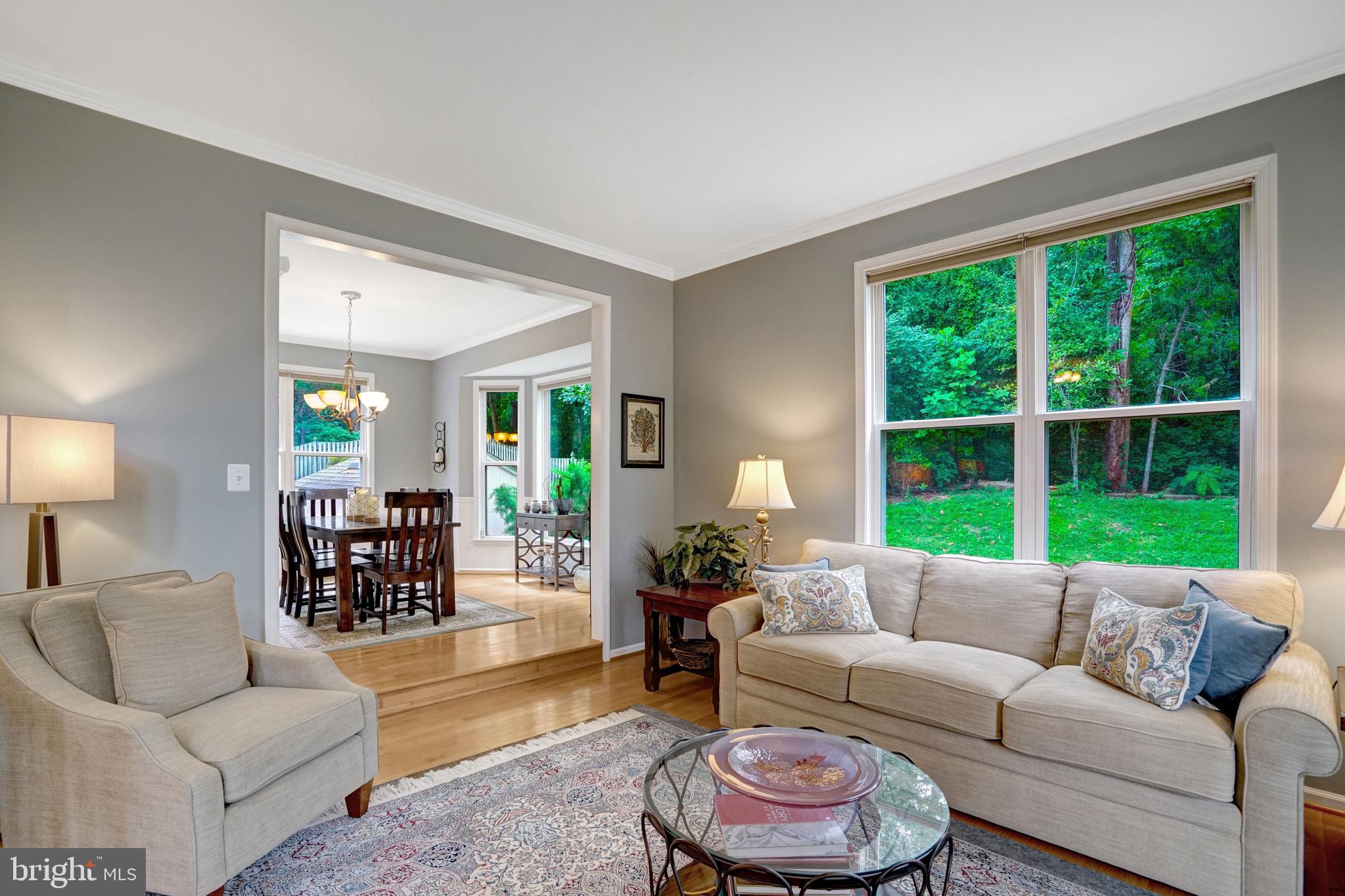 8929 MOUNTAIN ASH DRIVE