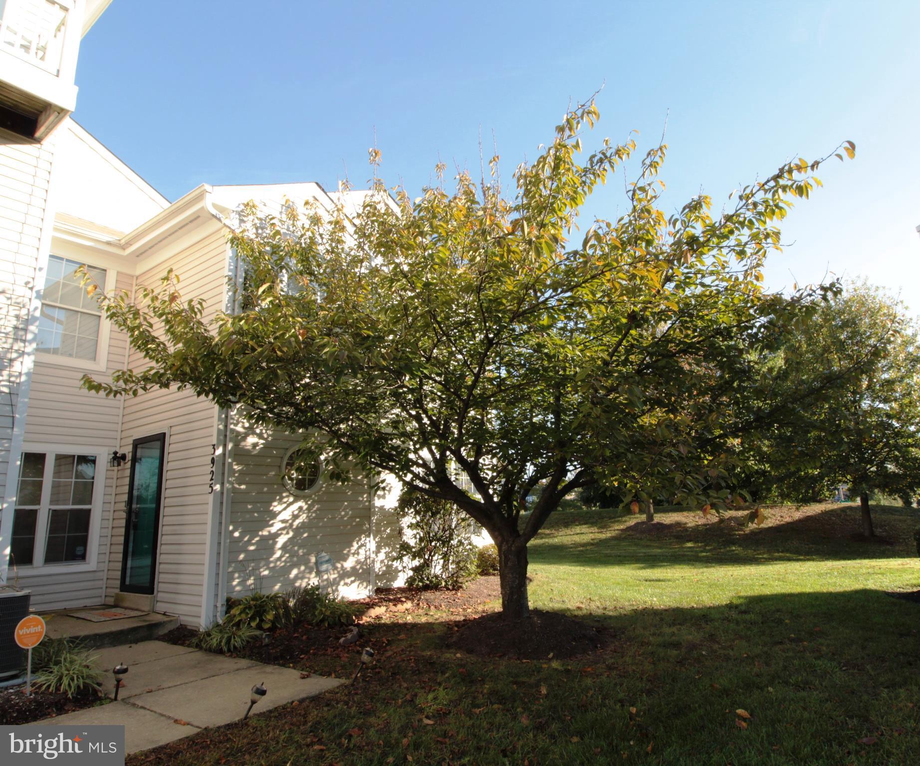 Updated & Well Maintained Condo in a Desirable Location & Beautifully Kept neighborhood, close to major roads. Large Eat-In Kitchen with Gas Stove, Separate Living Room & Dining Room with Hardwood. Upper Level boasts a Large Master and Separate Full Bathroom, 2 more Nice Sized Bedrooms & Full Bath. Outside patio for grilling and shed. Low Monthly Condo Fee and Yearly Rec Fee of $401. As-Is