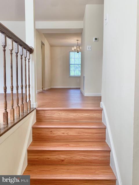 DERWOOD STATION - Residential Lease