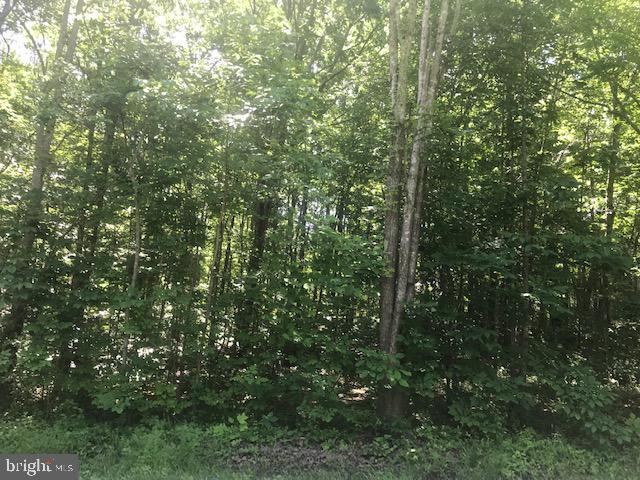 LAKE OF THE WOODS - Land