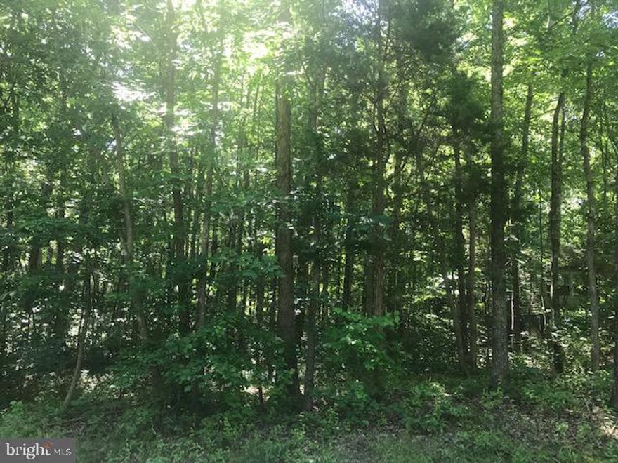 Build your dream home in sought after Lake of the Woods.  Great location, a short walk to the beach, Sweetbriar pool and all the lake has to offer. Whether your passion is boating, water-skiing, kayaking, golfing, horseback riding, or simply taking in the breathtaking views from the clubhouse while enjoying a fabulous meal, from your own deck or yard, or from one of the beaches, you won't be disappointed!