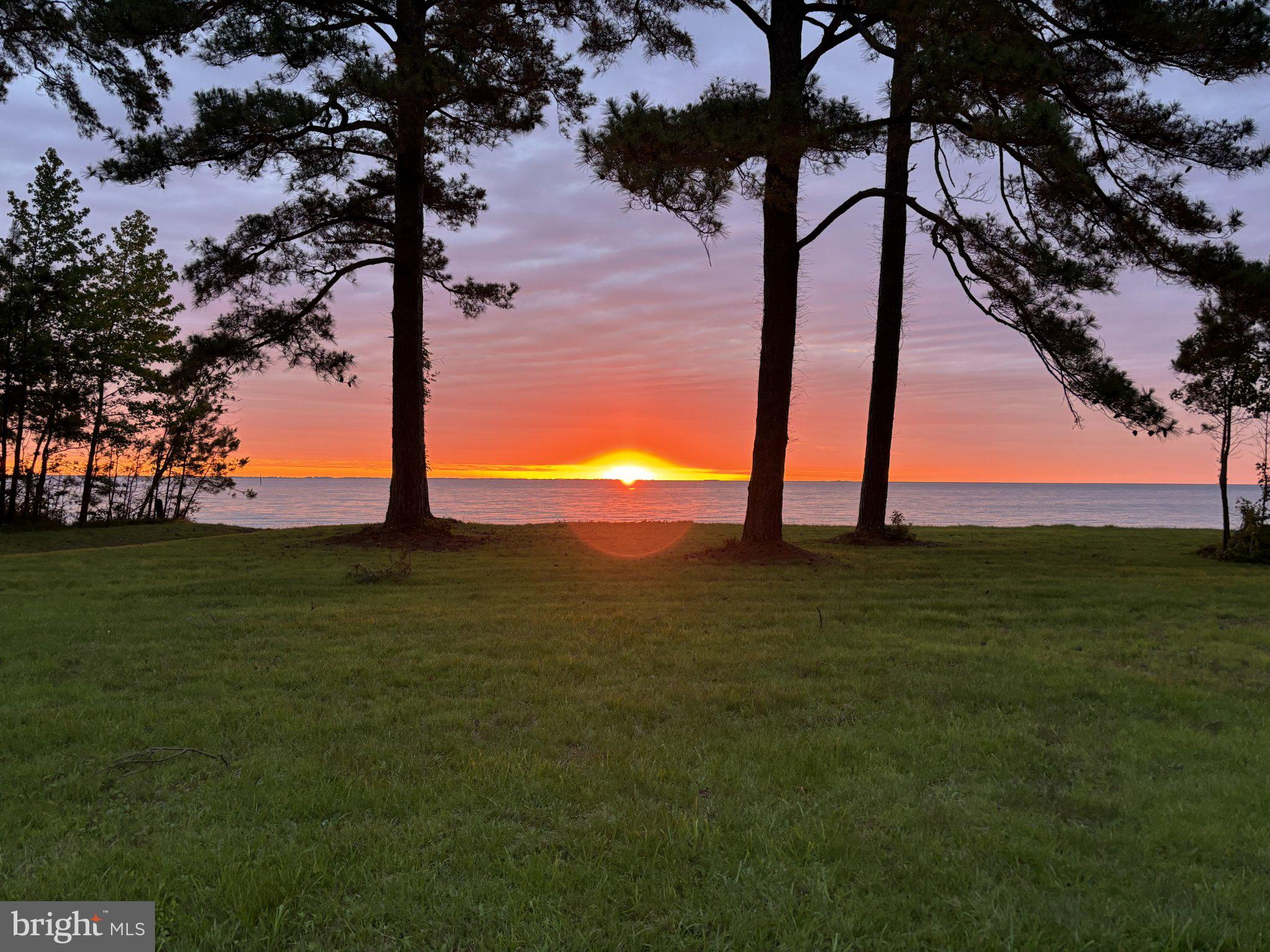 49487 BAY FOREST ROAD