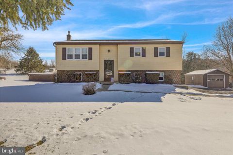 450 BIRCH HILL ROAD SHOEMAKERSVILLE PA 19555