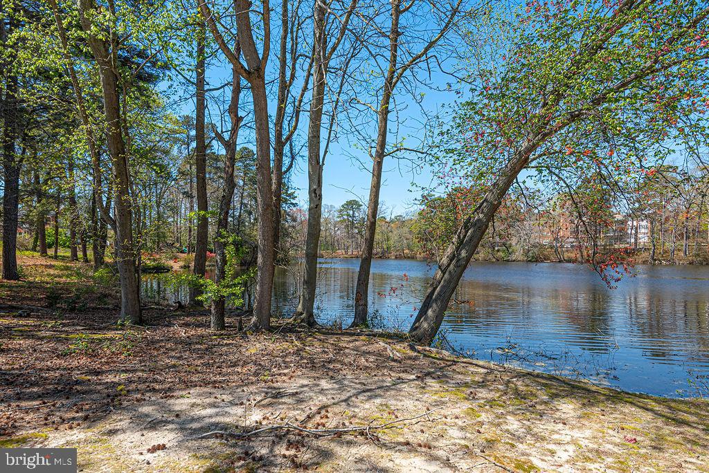 MEADOWS NEIGHBORHOOD - Residential