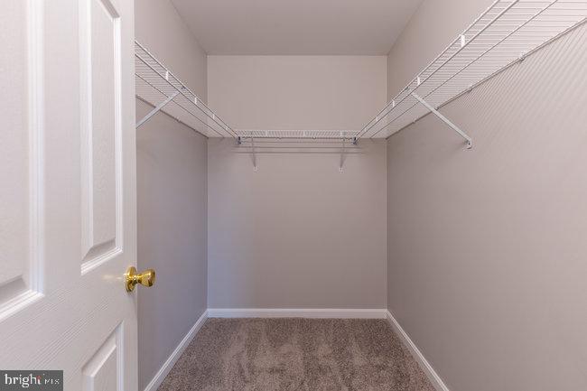 MAUGANS MEADOWS - Residential